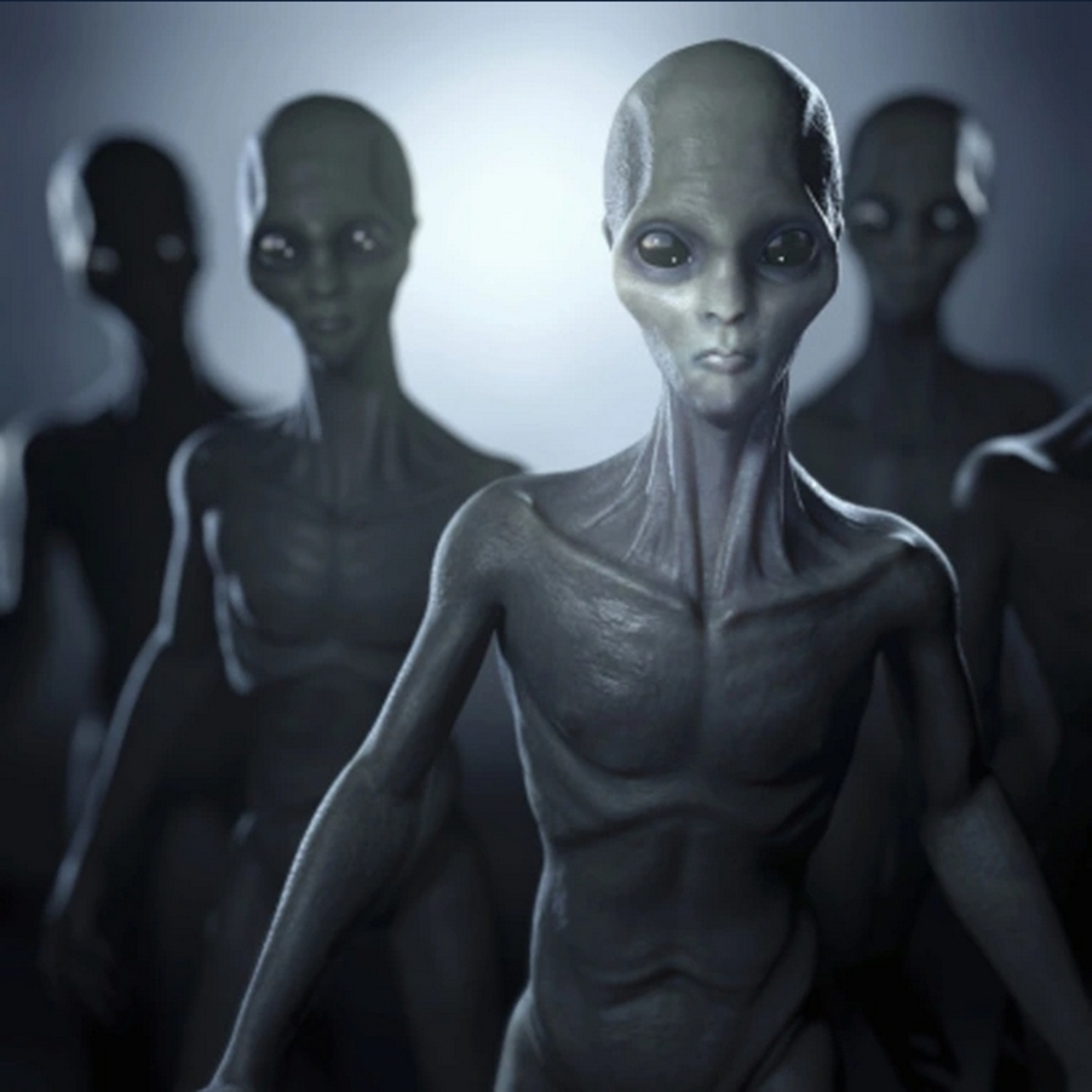 Knowledge From Beyond with Lynn David Livsey