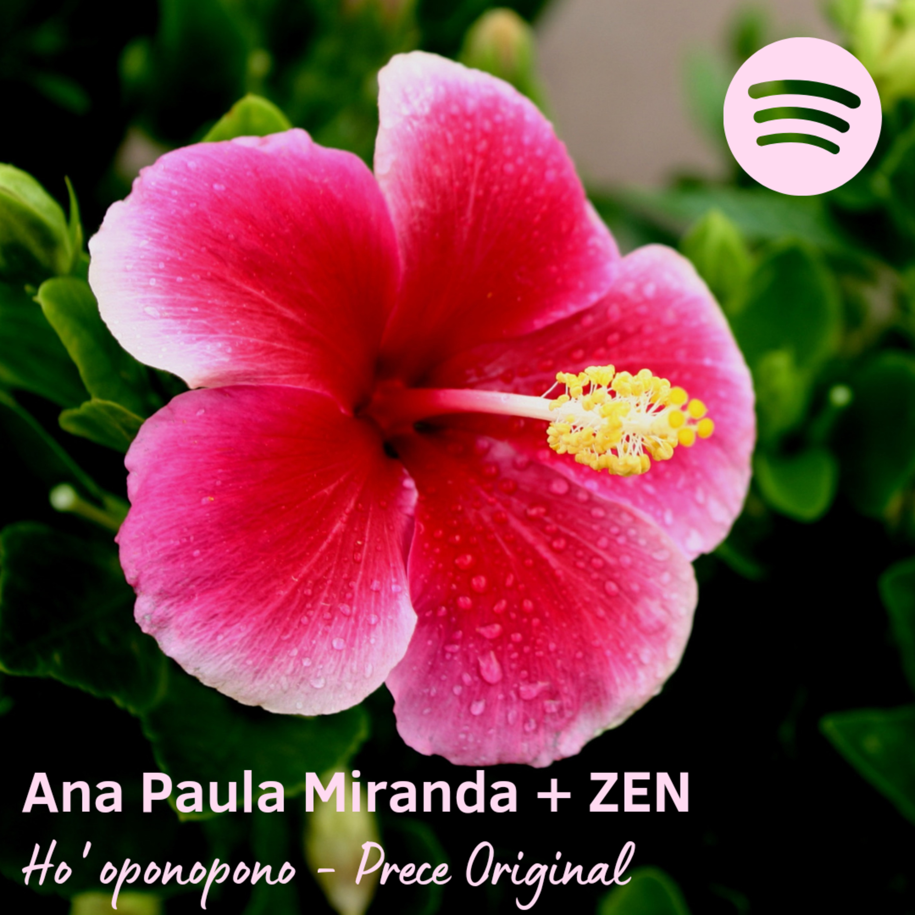 Ana Paula Miranda + ZEN