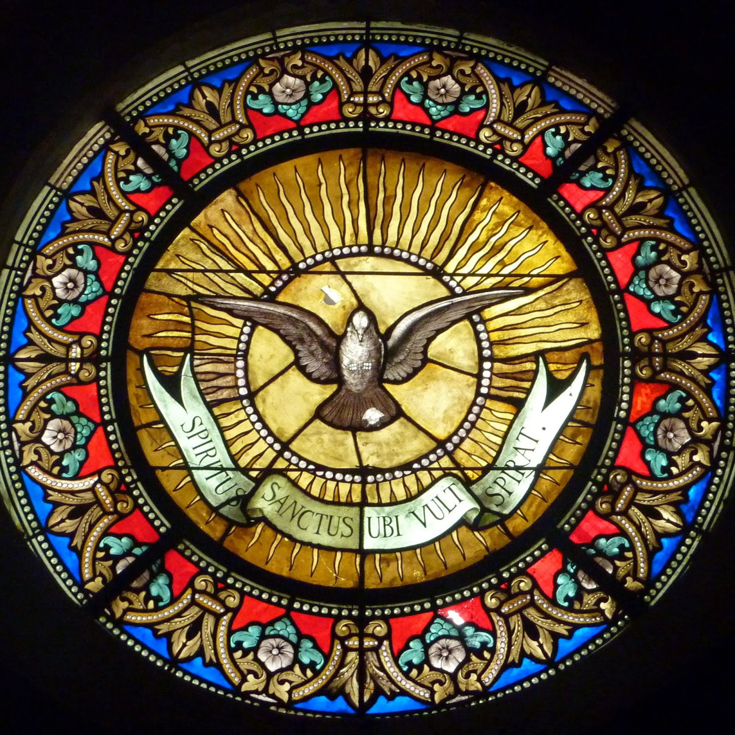 Gaudium Cum Pace