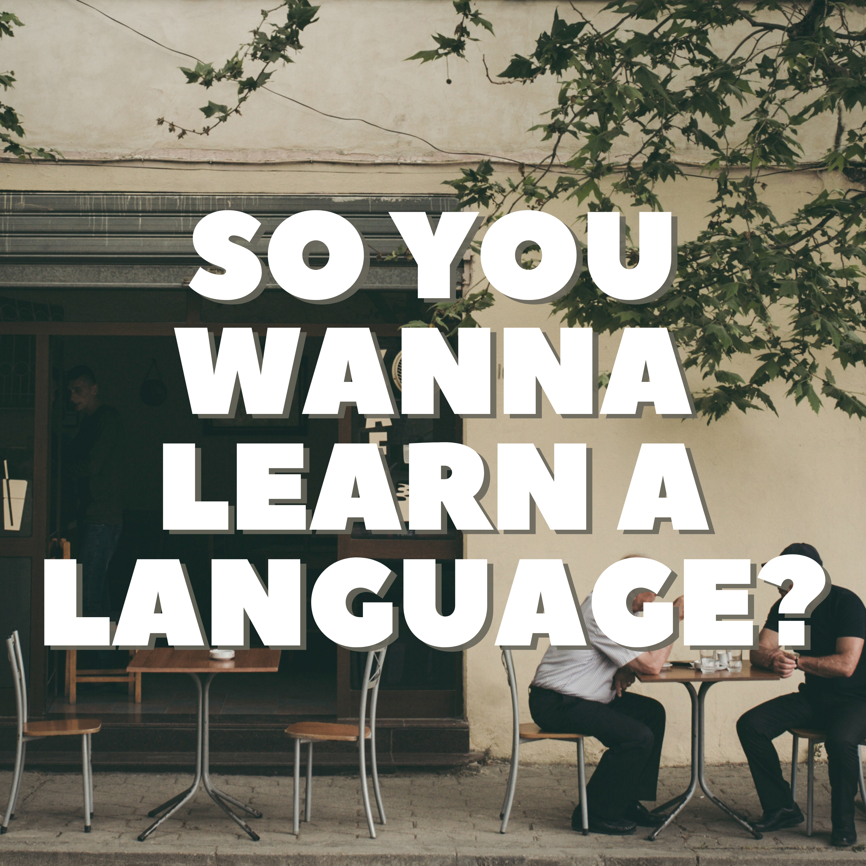 So you wanna study vocabulary? Part 1