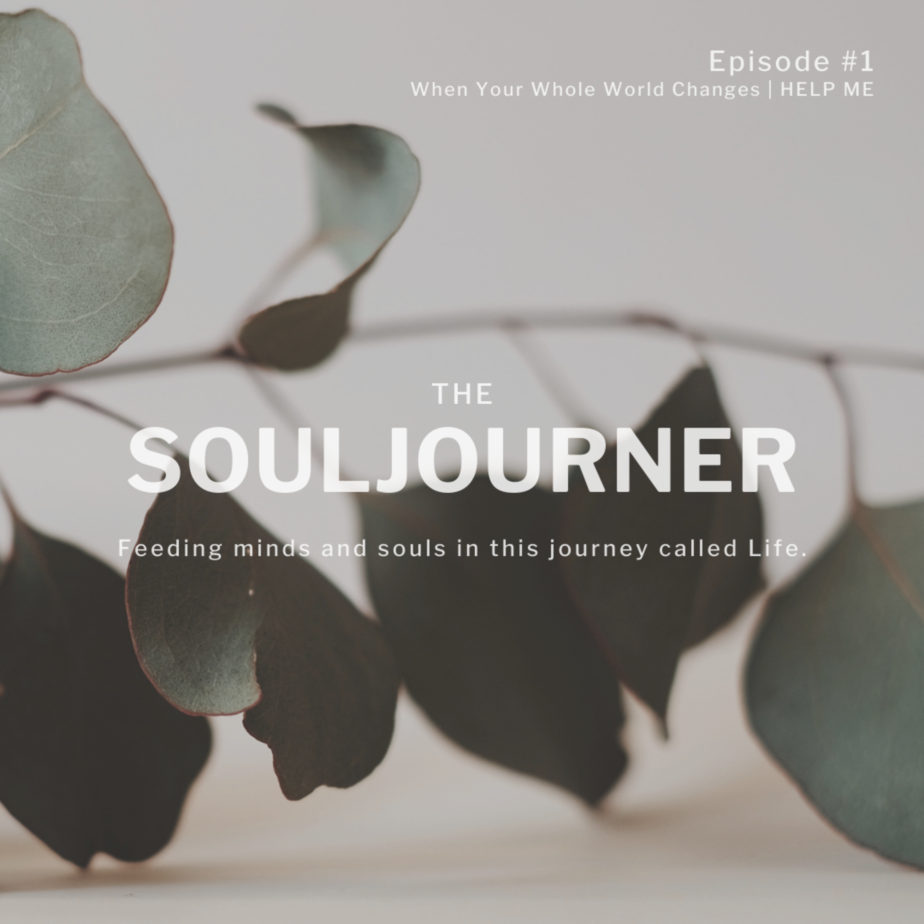 The SOULjourner | S01E01 | When Your Whole World Changes: Help episode artwork