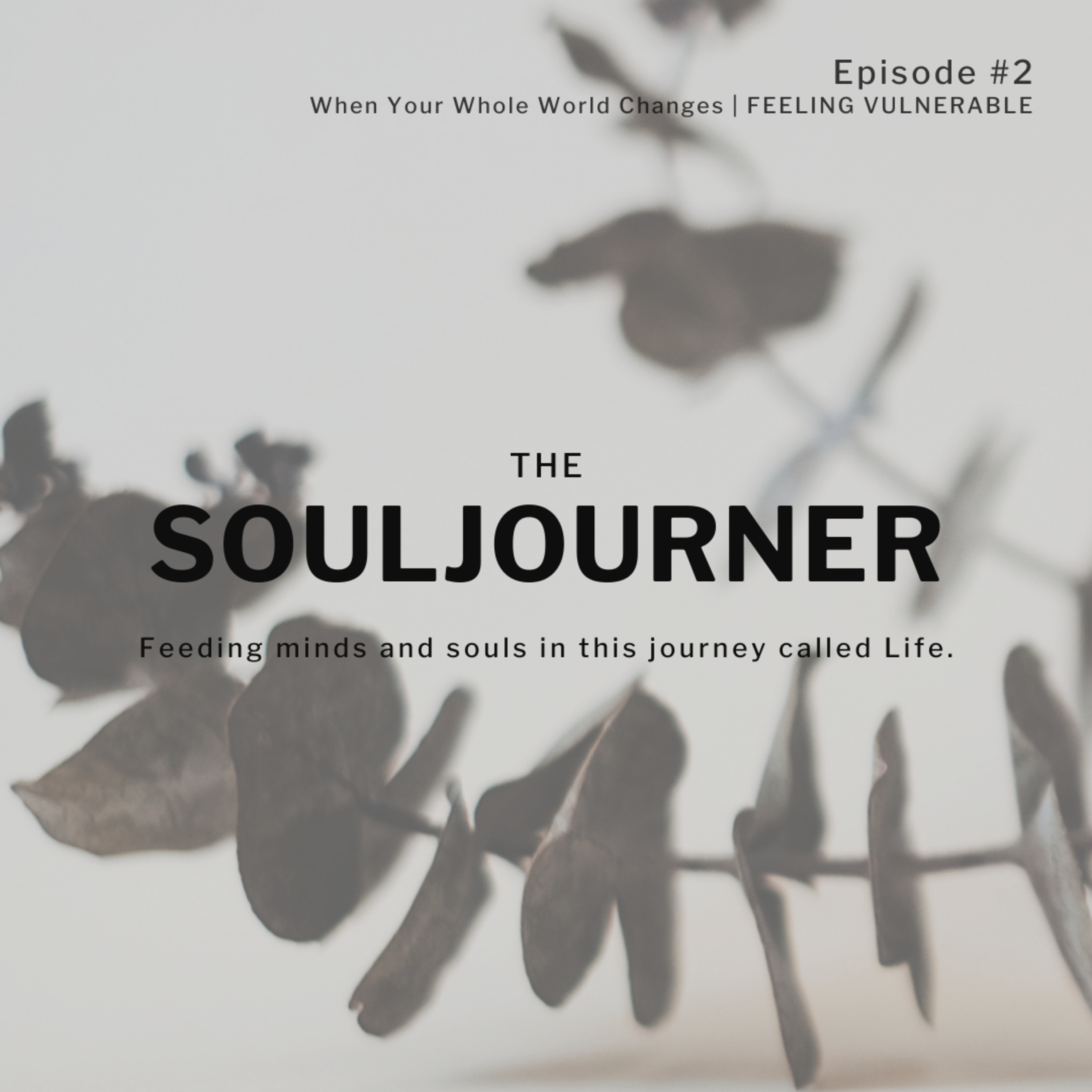 The SOULjourner | S01E02 | When Your Whole World Changes: Feeling Vulnerable episode artwork