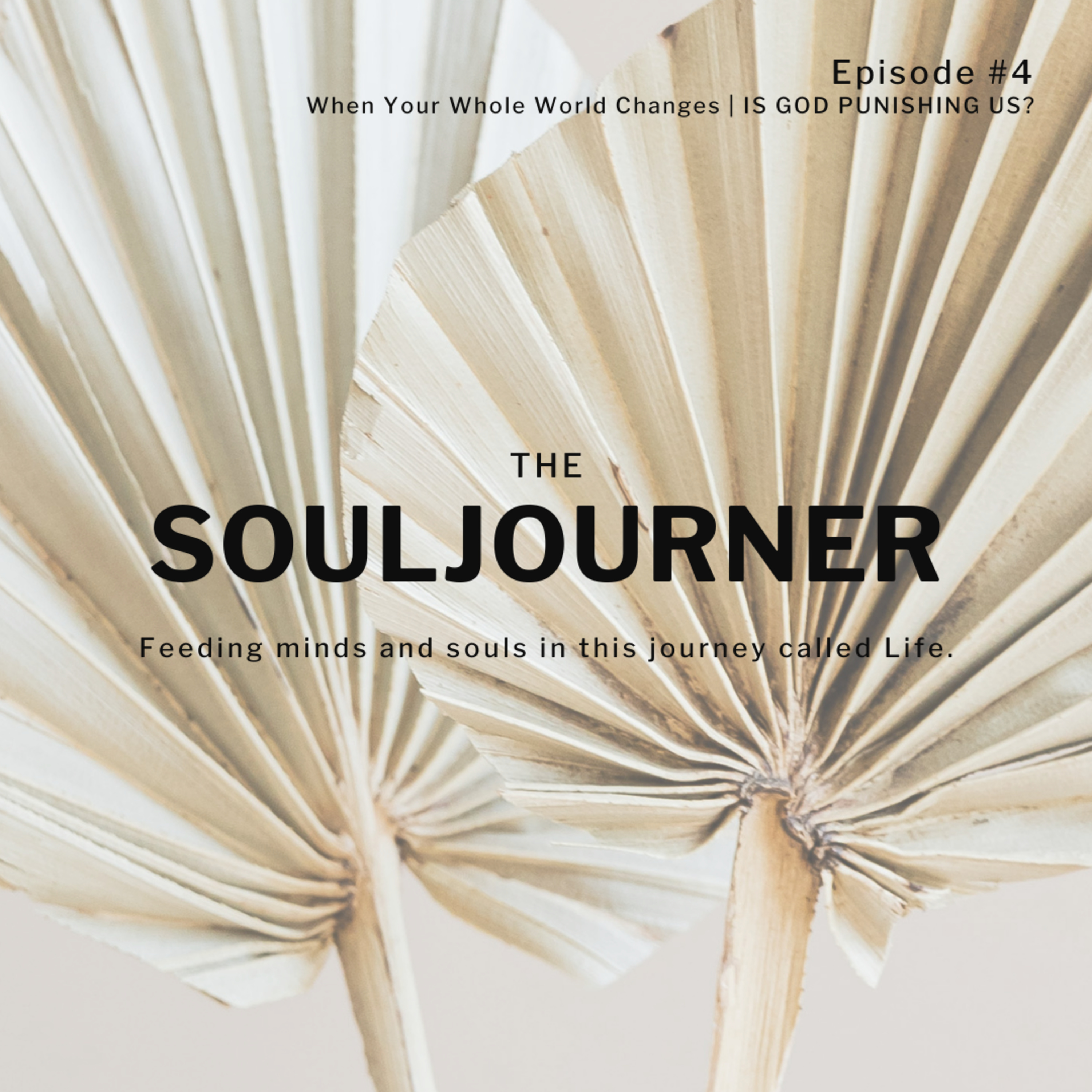 The SOULjourner | S01E04 | When Your Whole World Changes: Is God Punishing Us?  episode artwork