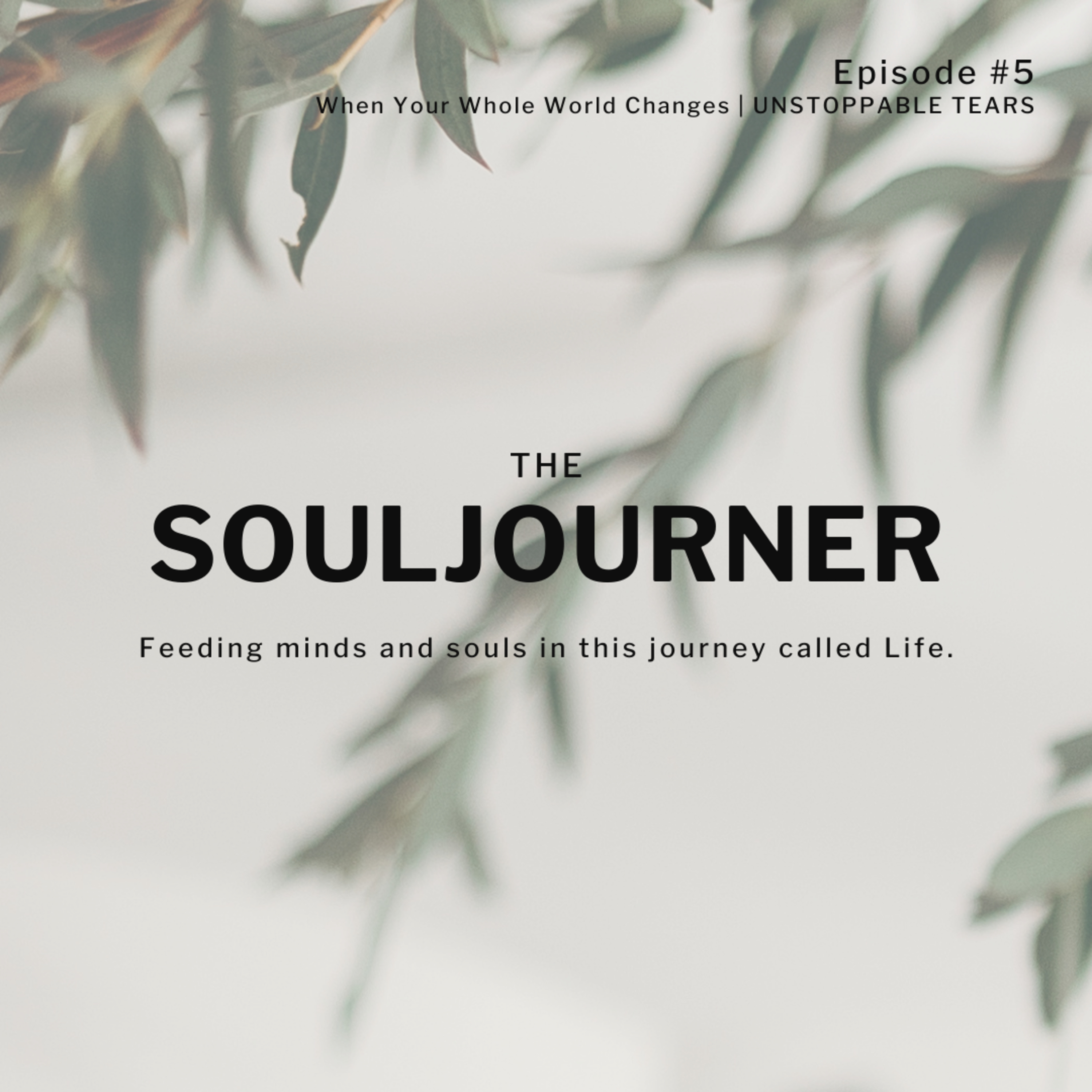 The SOULjourner | S01E05 | When Your Whole World Changes: Unstoppable Tears