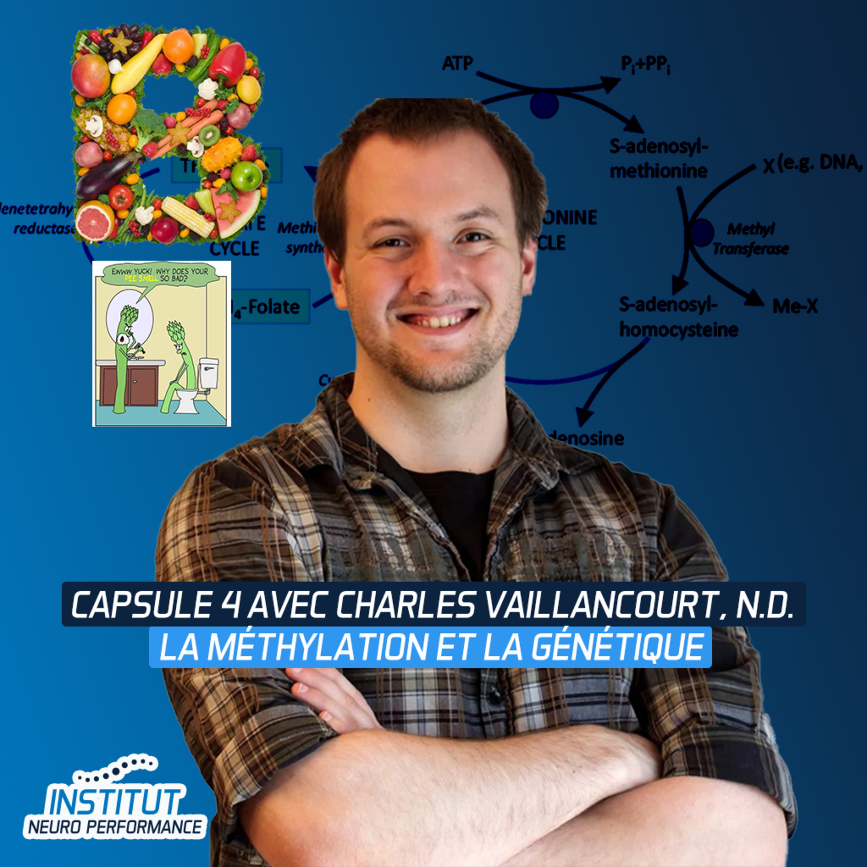 La méthylation et la génétique, avec Charles Vaillancourt, N.D. episode artwork