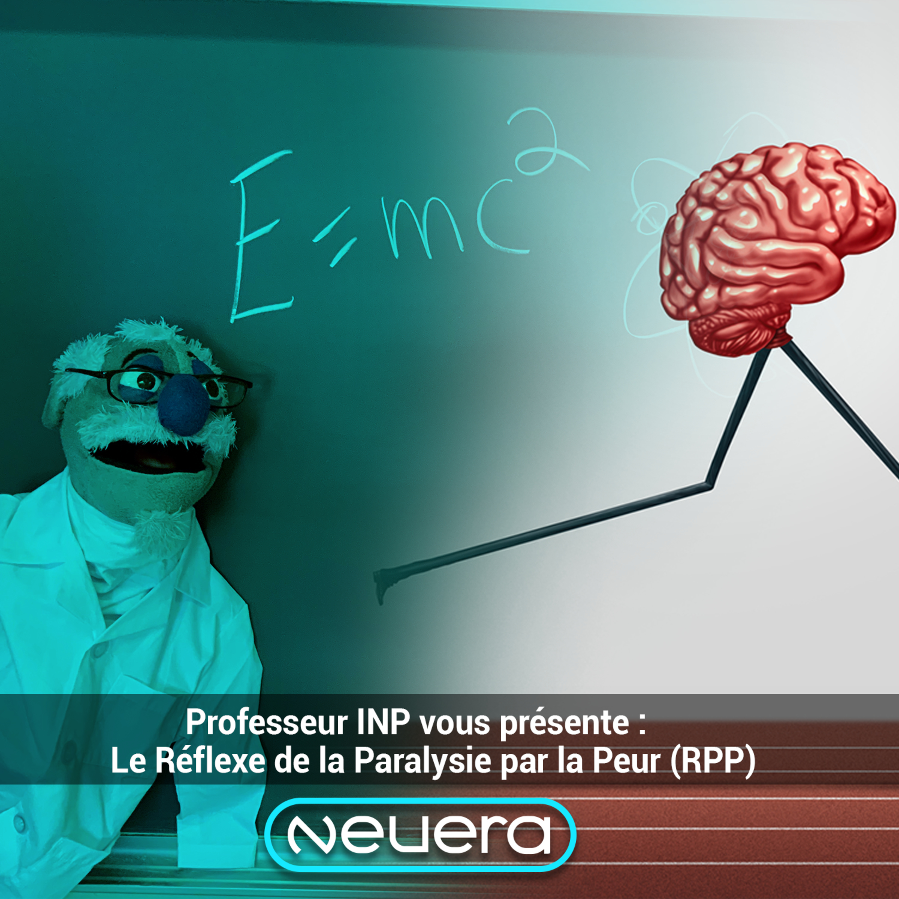 NeuEra