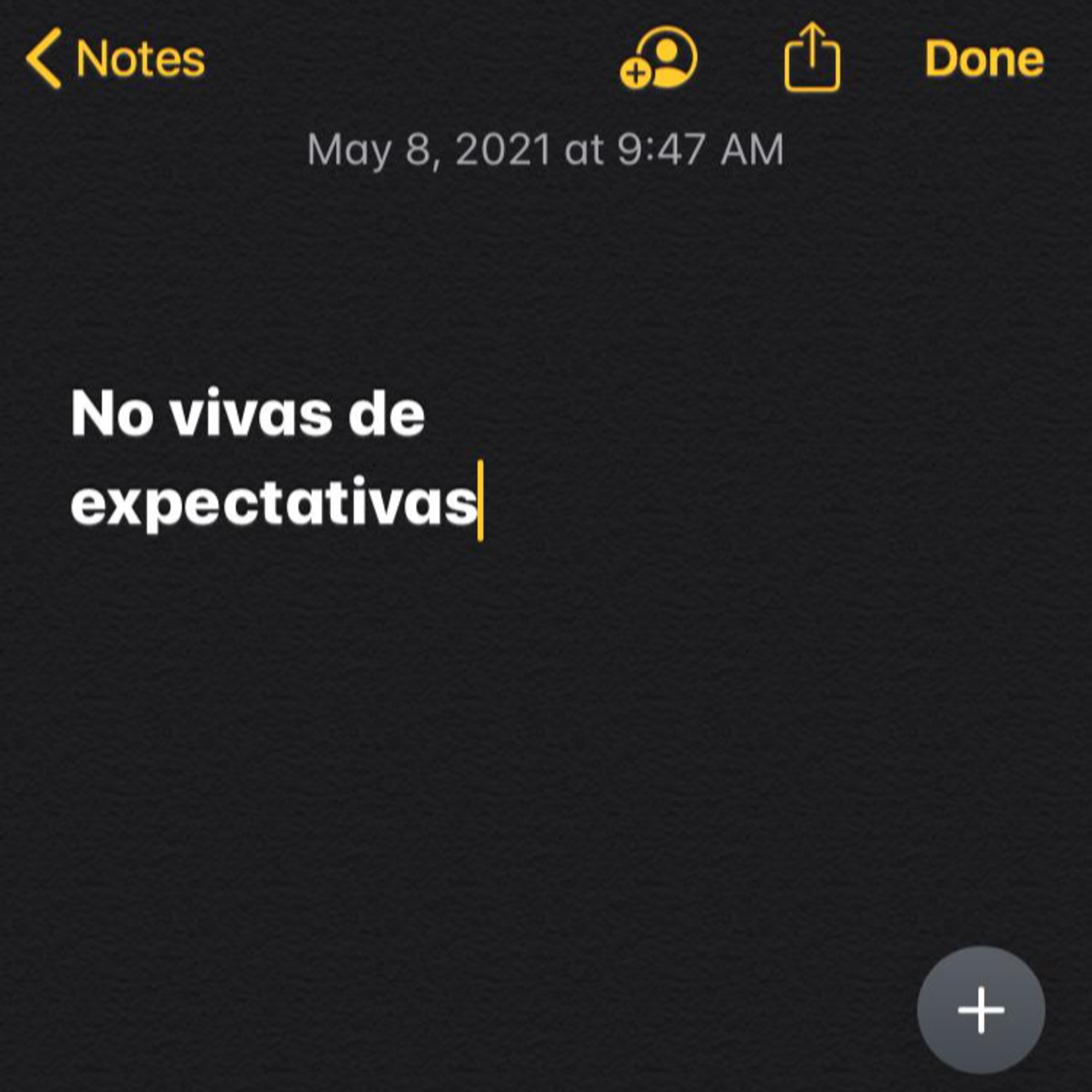 Aquí y ahora
