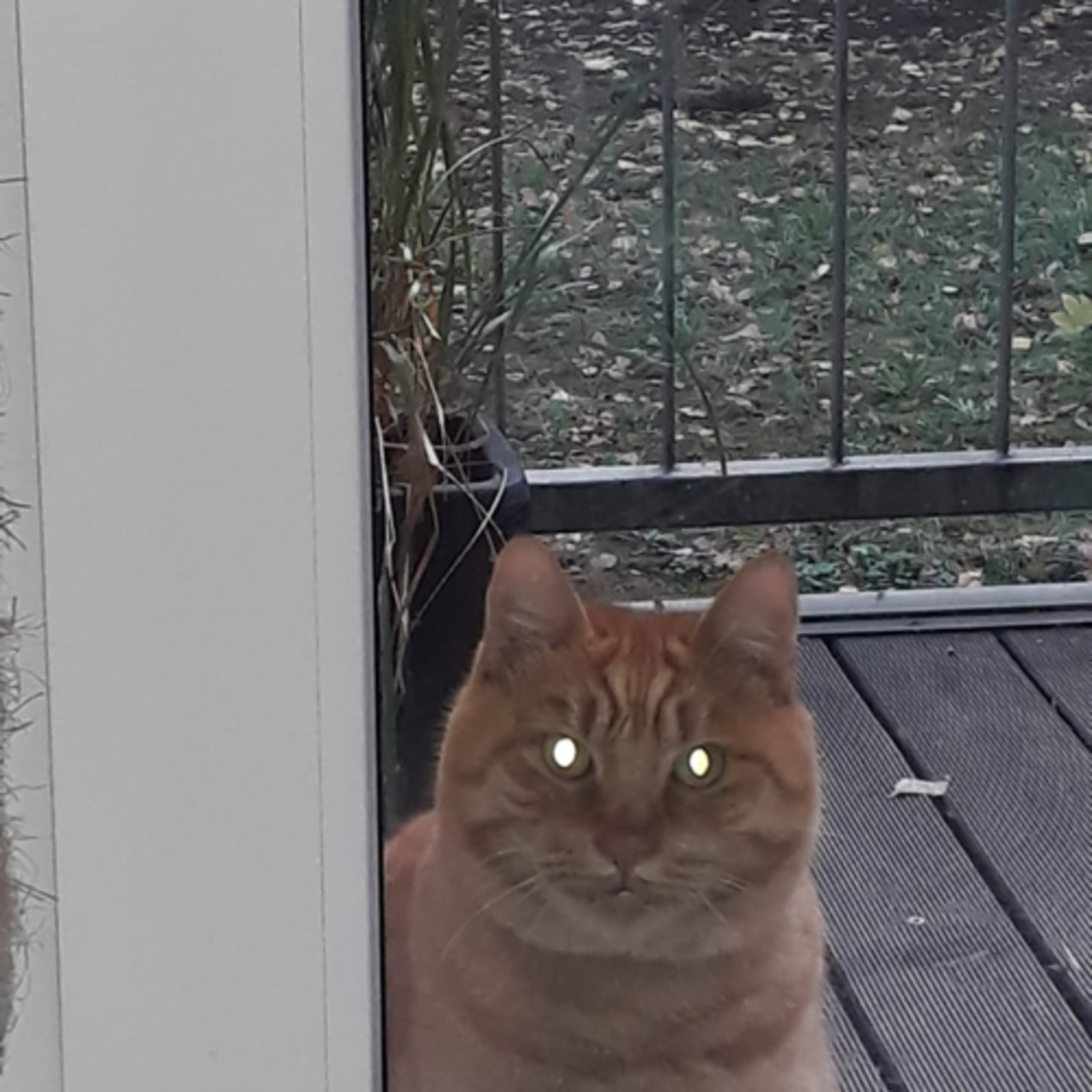 Schwierig