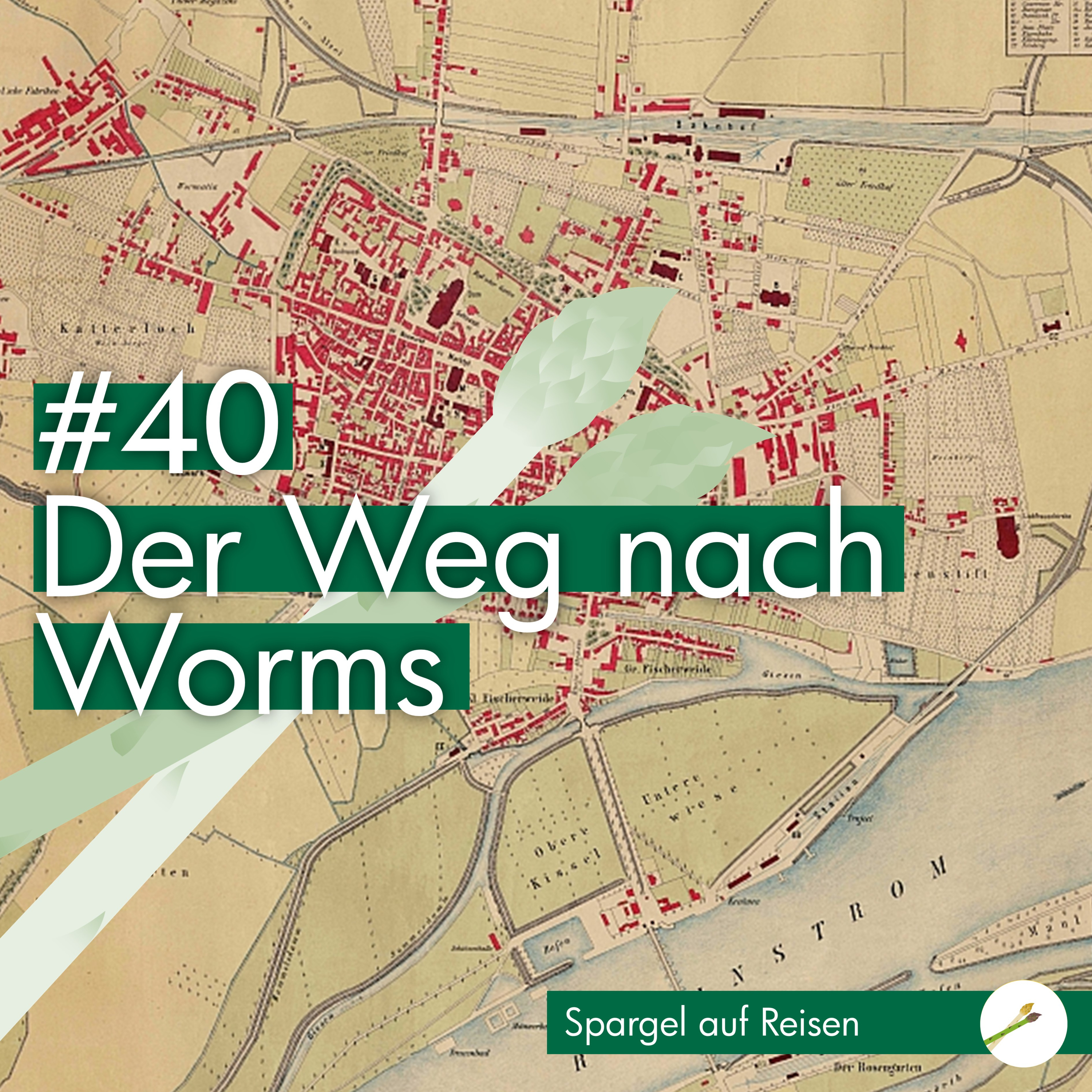 Spargel auf dem Balkon