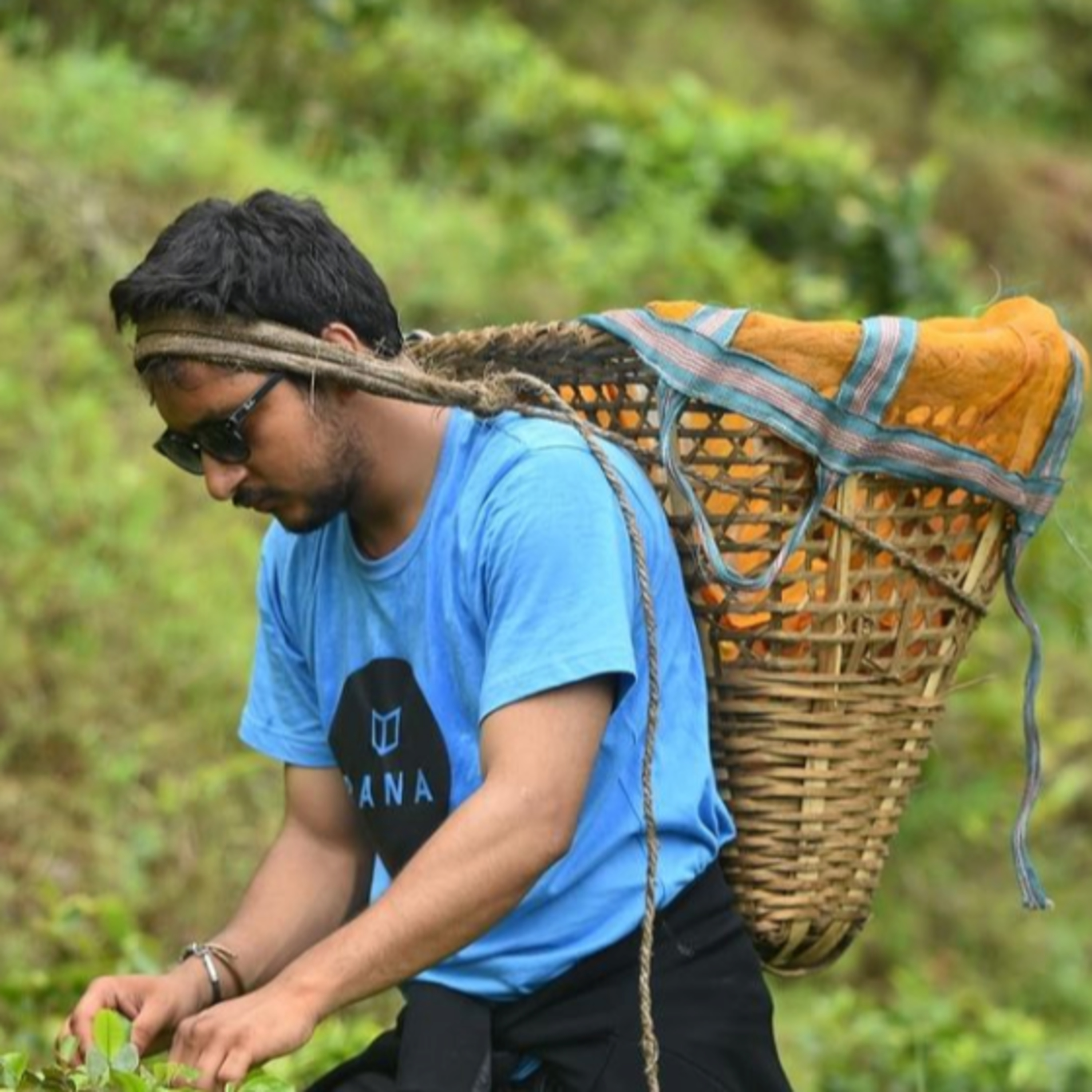 Ep.11 - Nischal Banskota - The Birth of a Tea Master