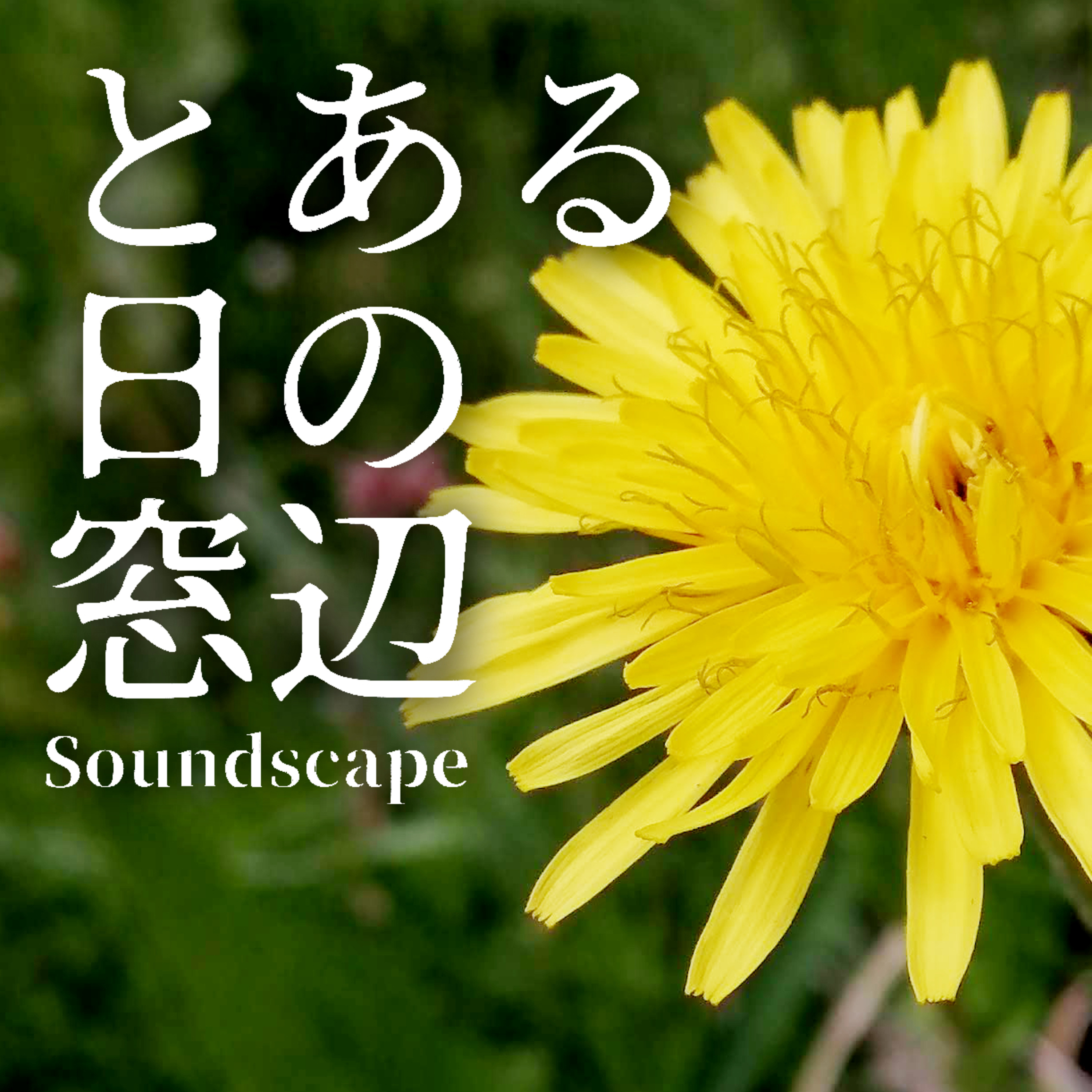 とある日の窓辺・2021春(ep39)