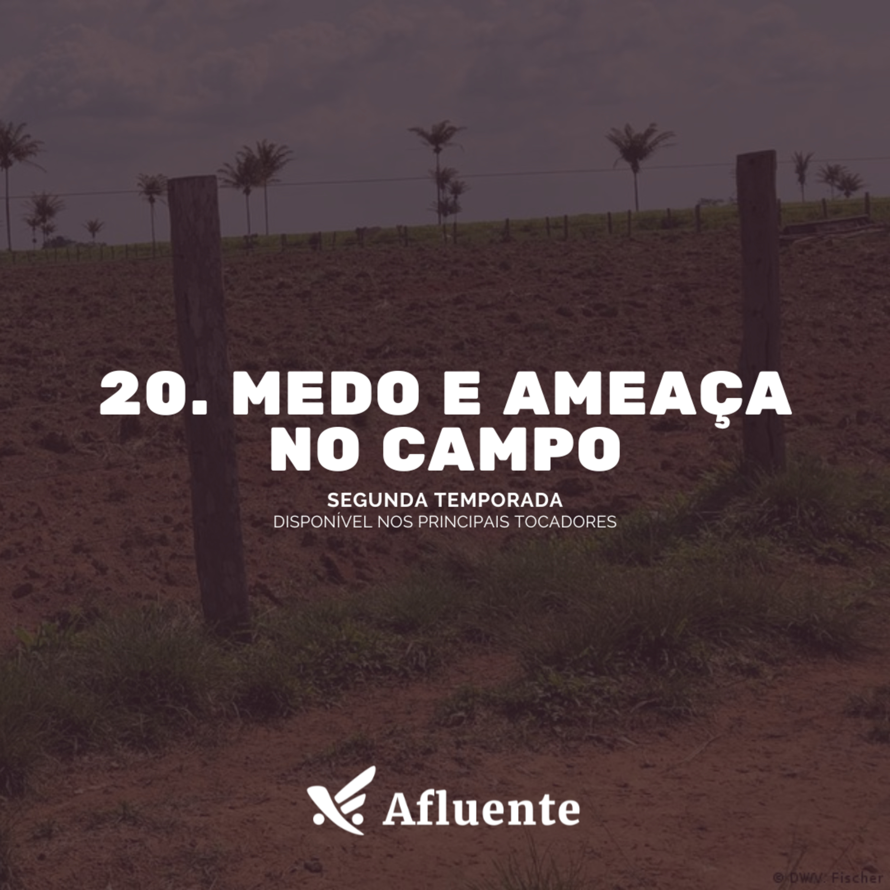Afluente