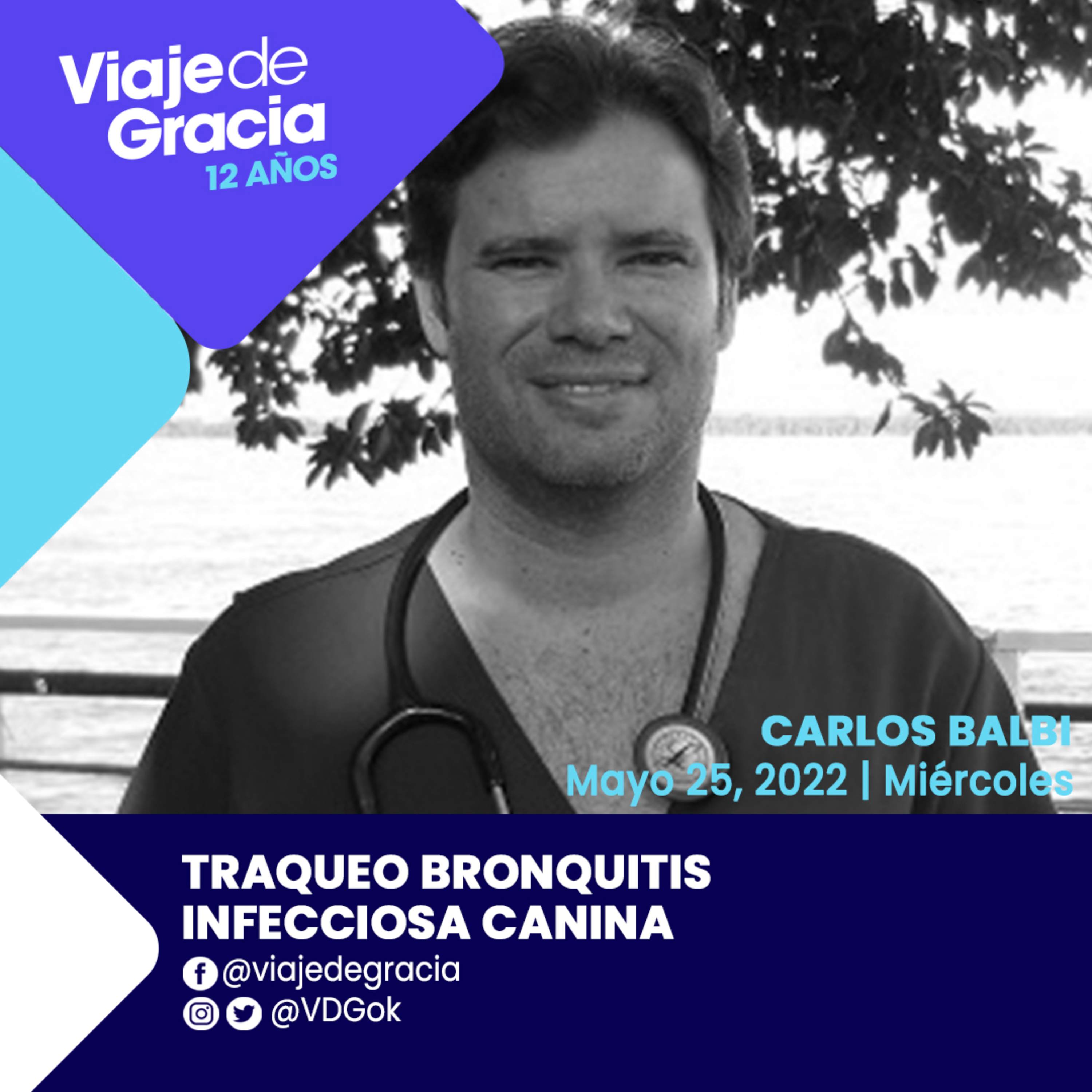 Portada de PODCAST VDG