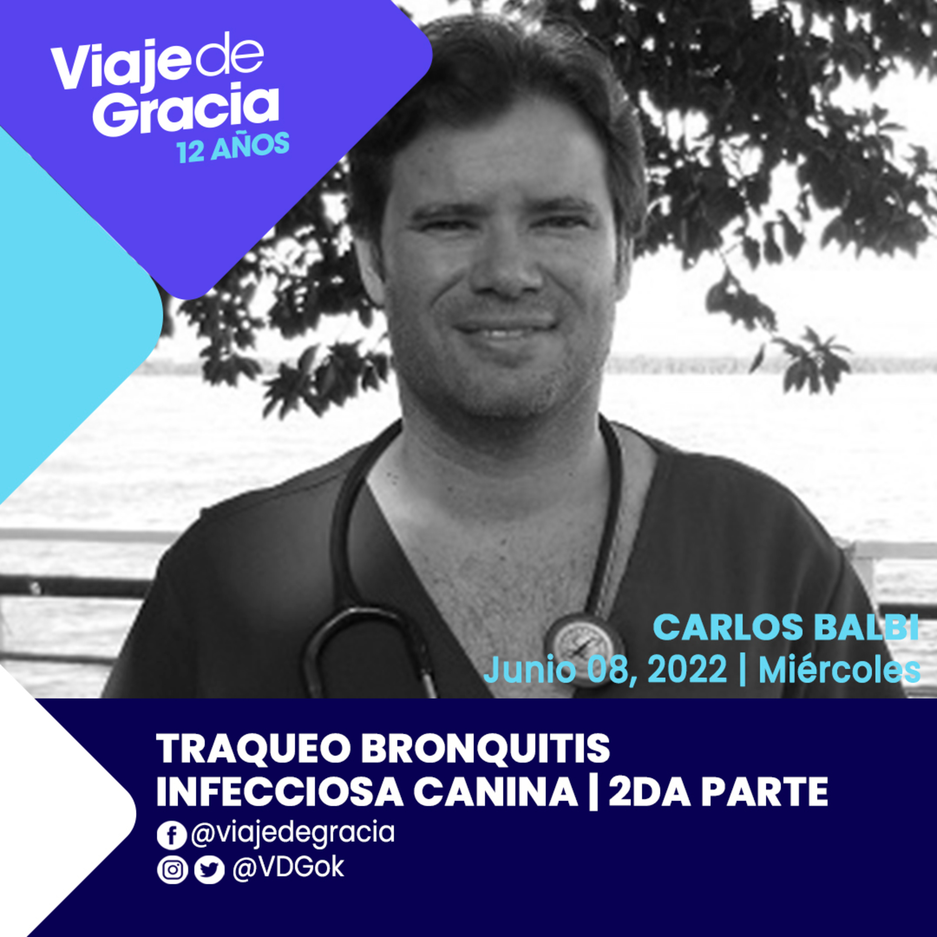 Portada de PODCAST VDG