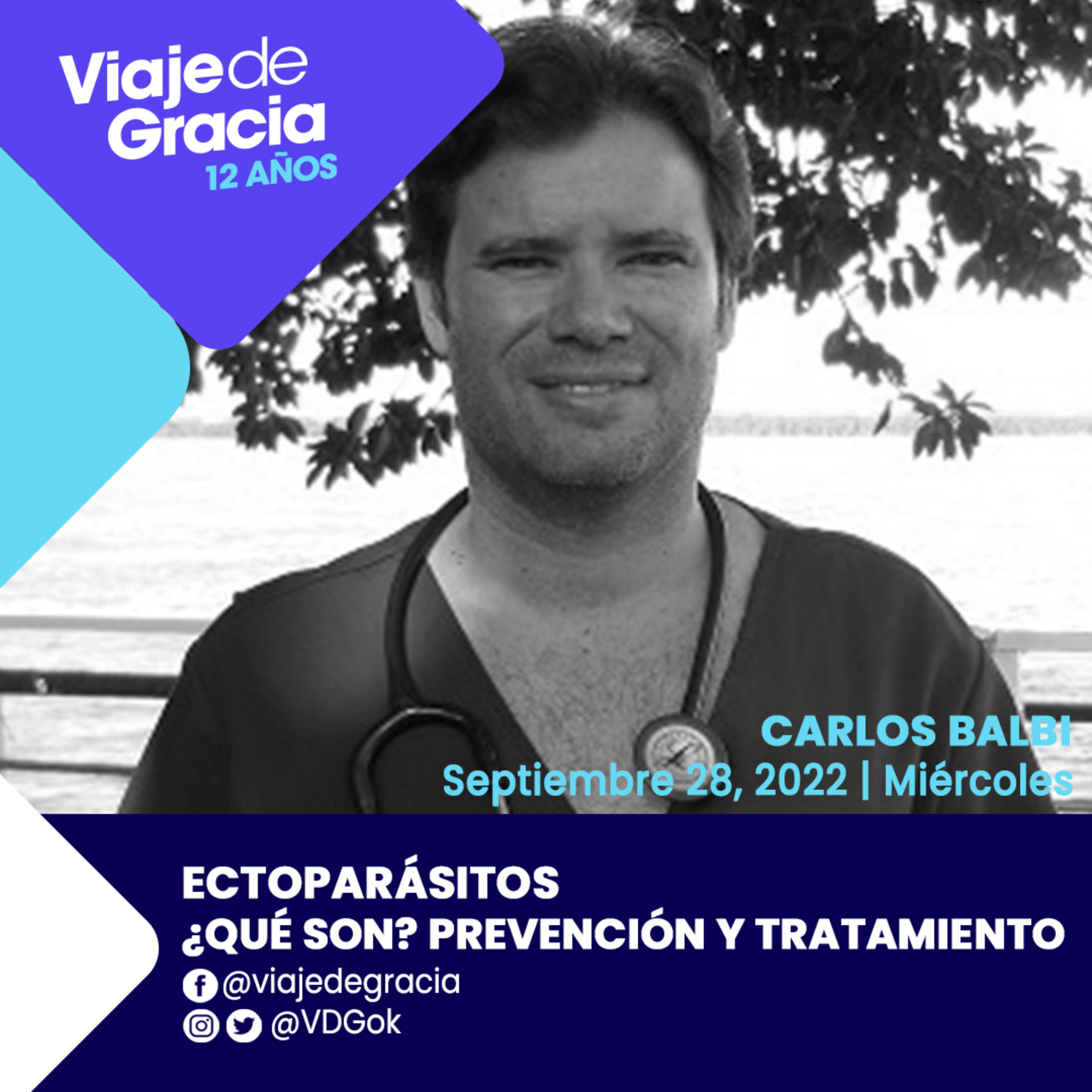 Portada de PODCAST VDG