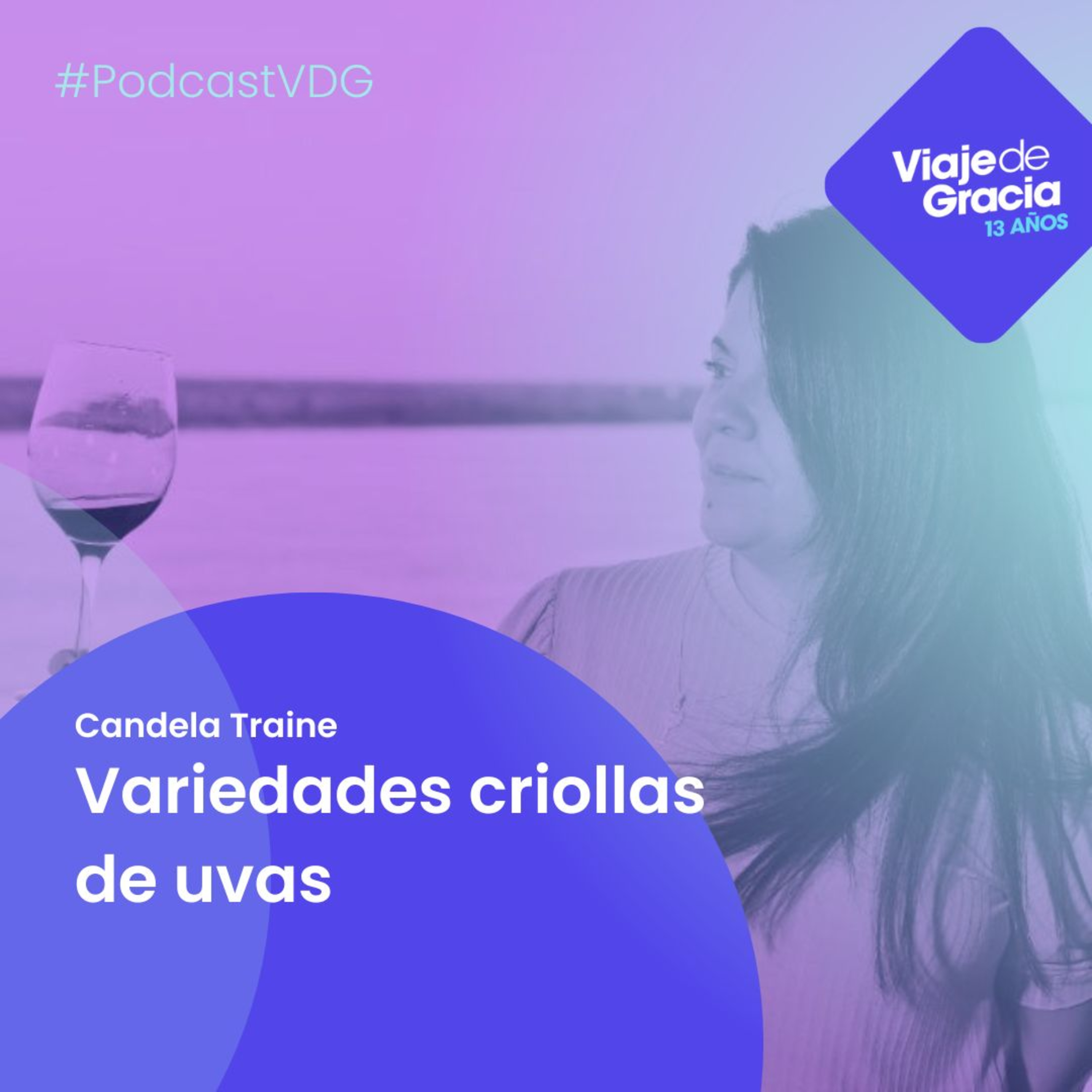 PODCAST VDG