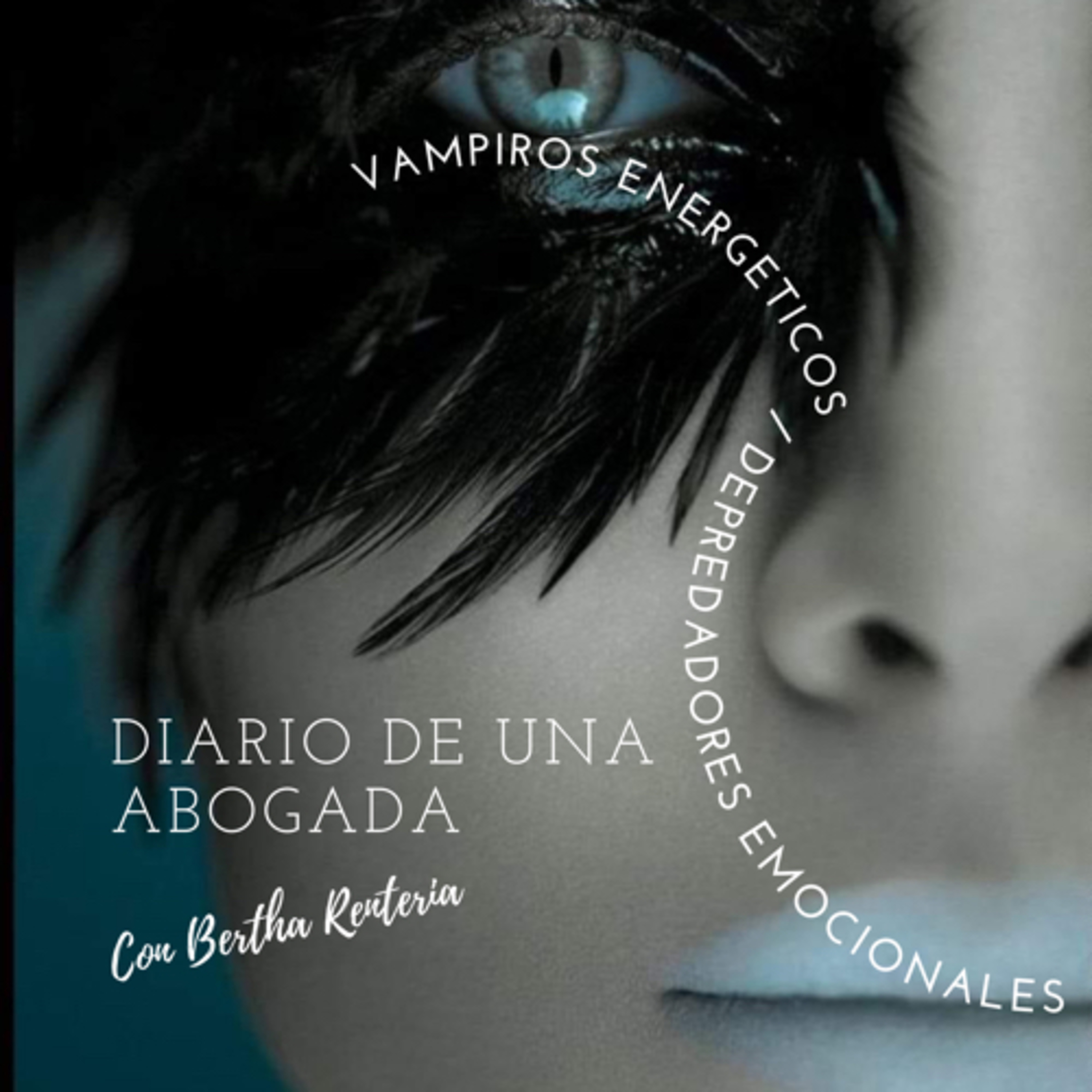 Portada de DIARIO de una ABOGADA