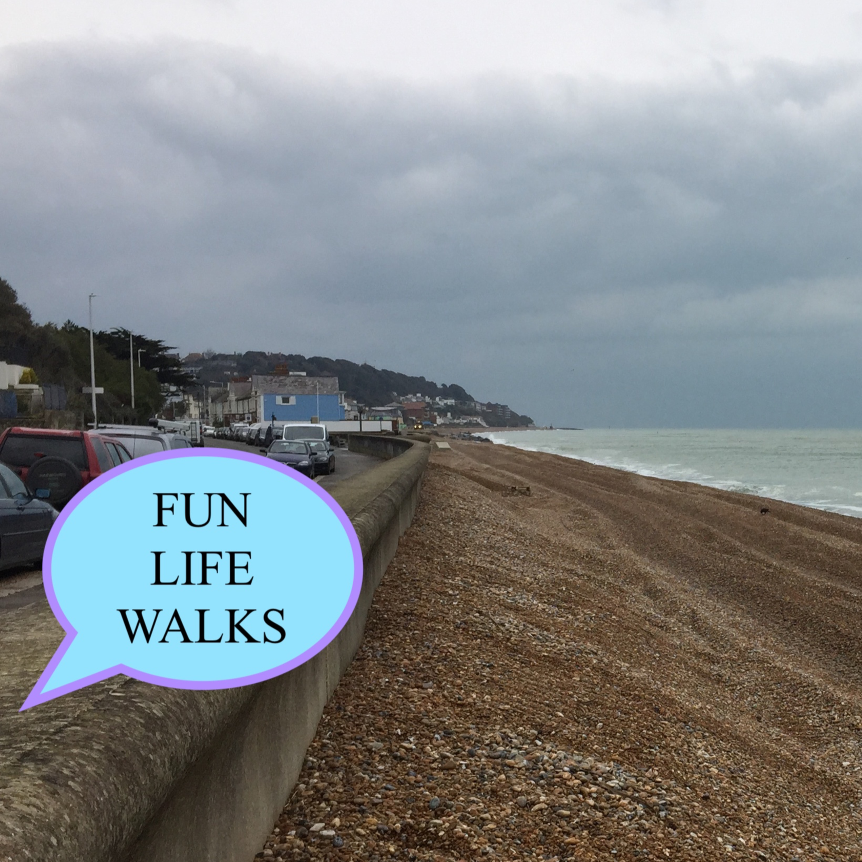 Fun Life Walks