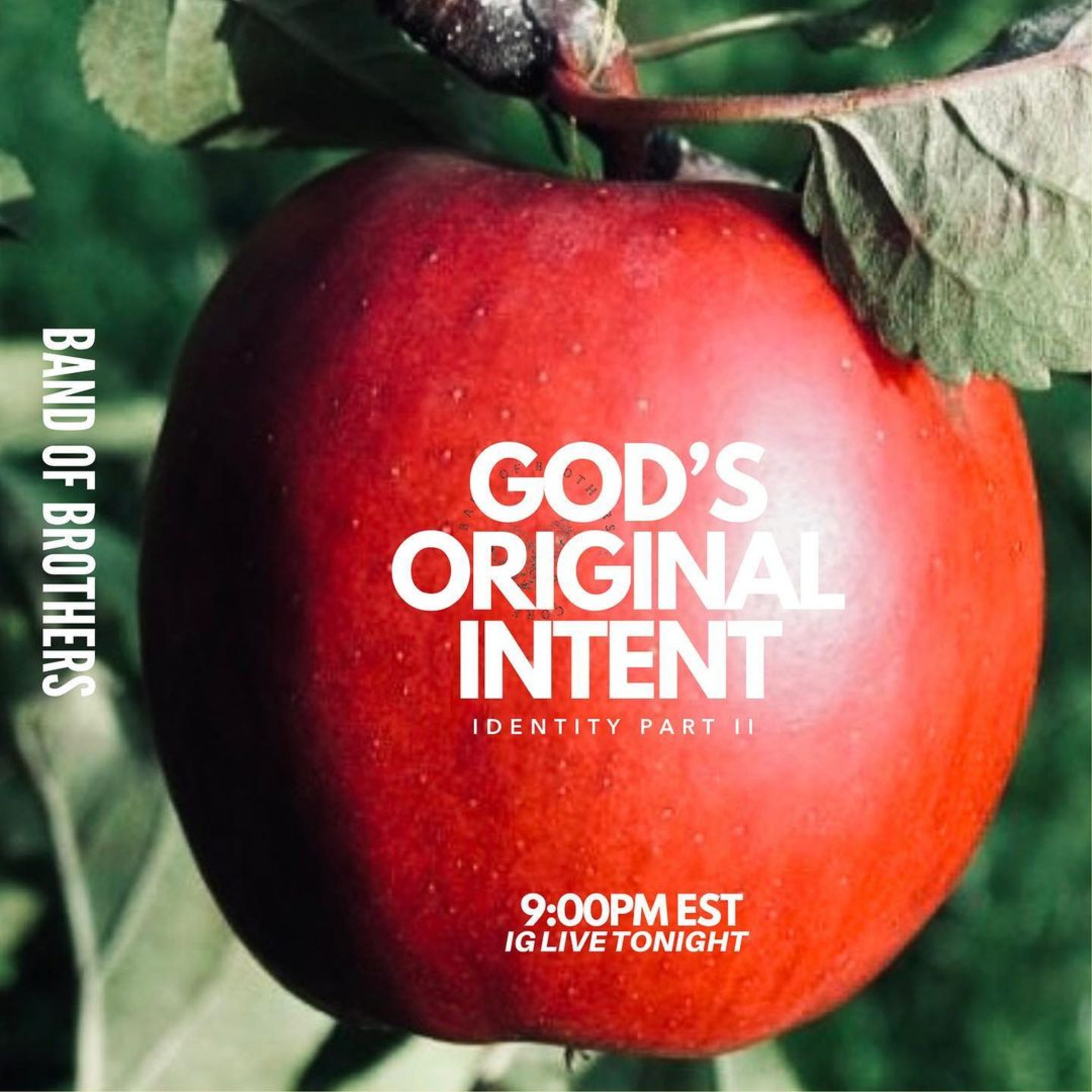 Gods Original Intent: Identity - Part 2