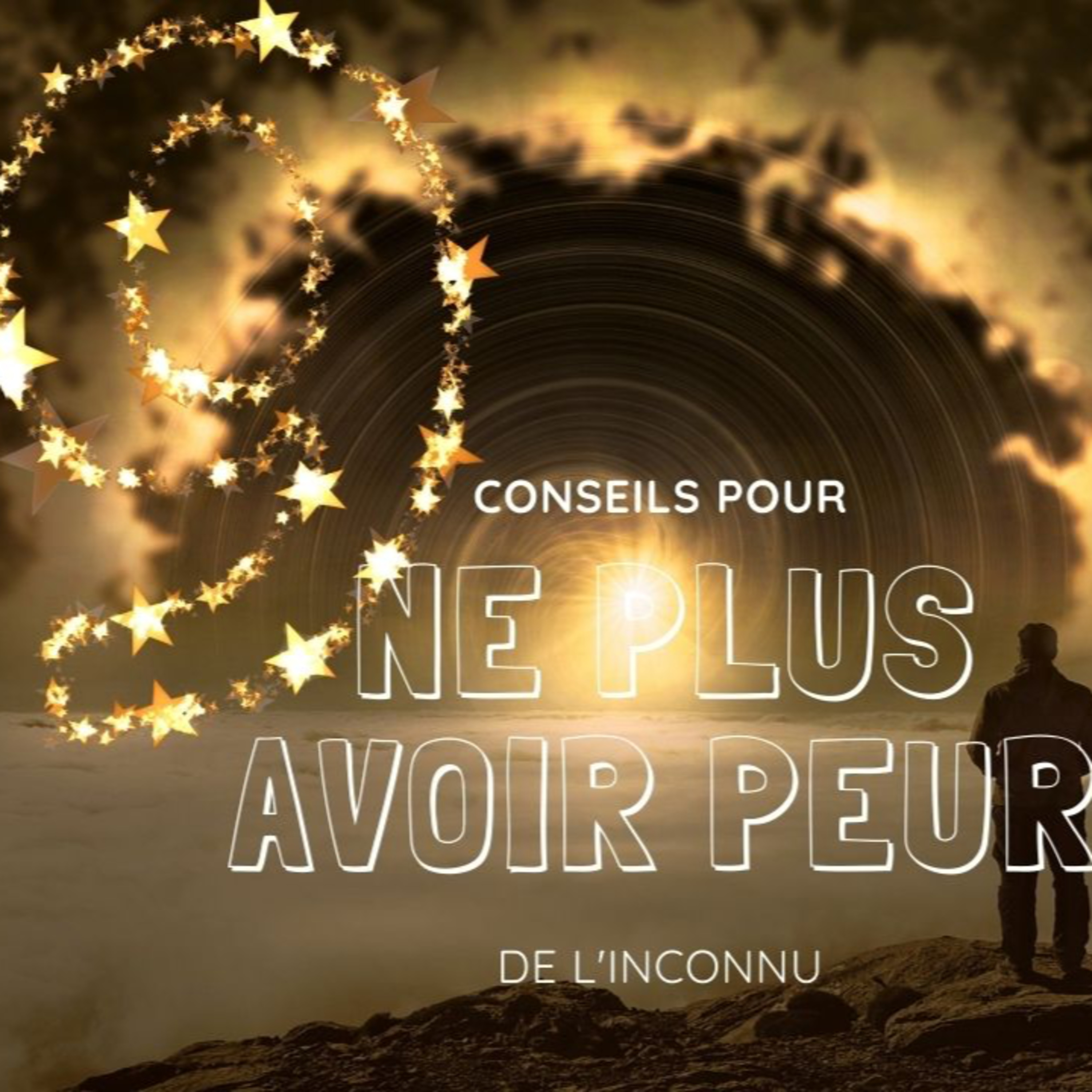 Education financière / Investissements