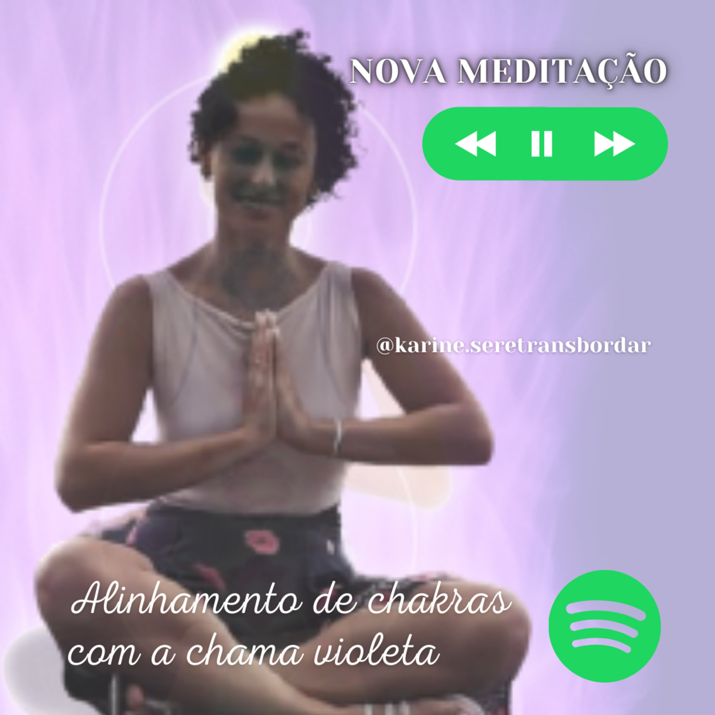 Ser E Transbordar