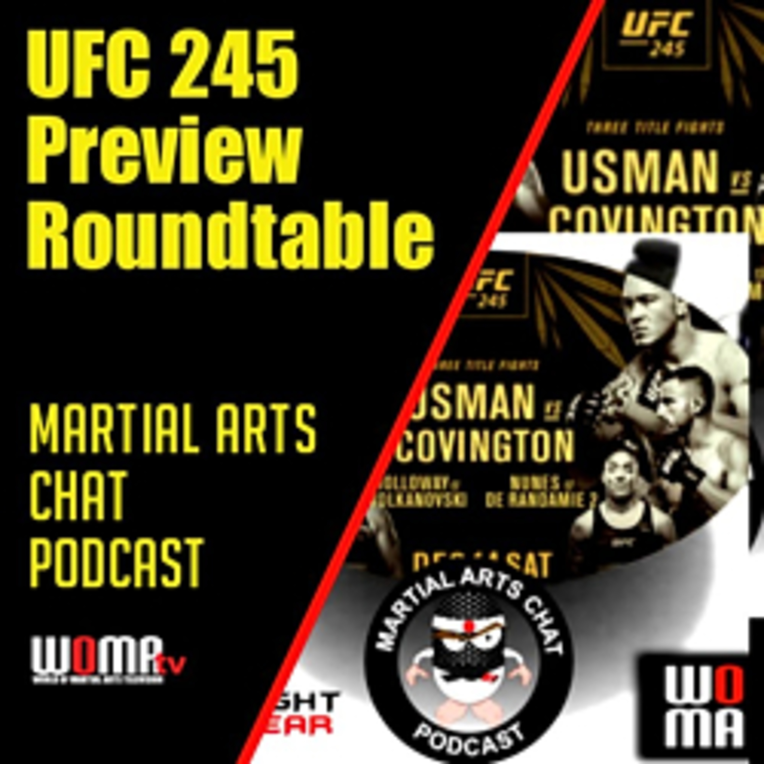 UFC 245 Preview Roundtable