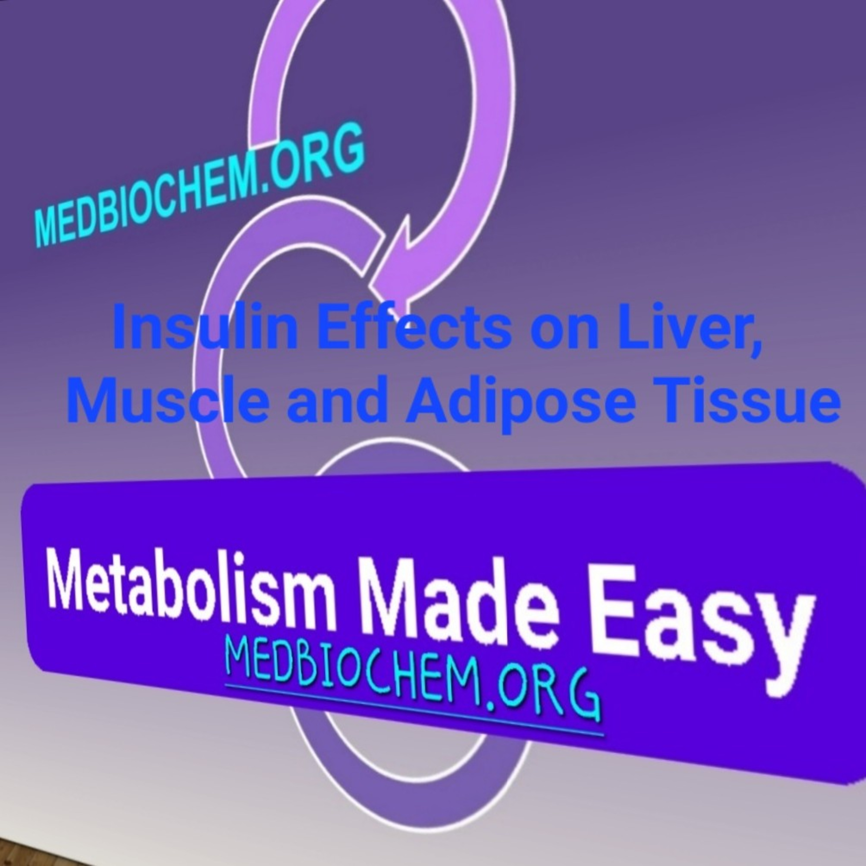 Insulin Effects on Liver, Muscle and Adipose Tissue episode artwork
