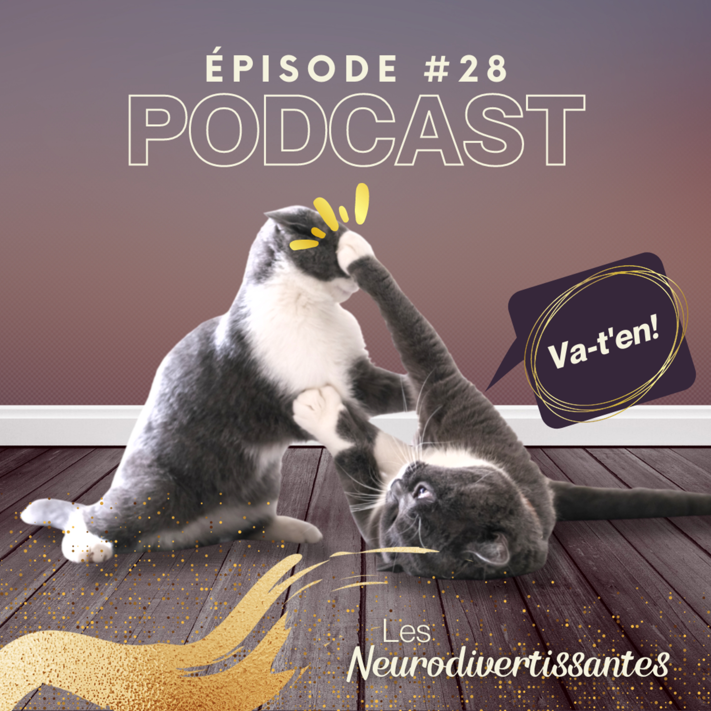 Les Neurodivertissantes