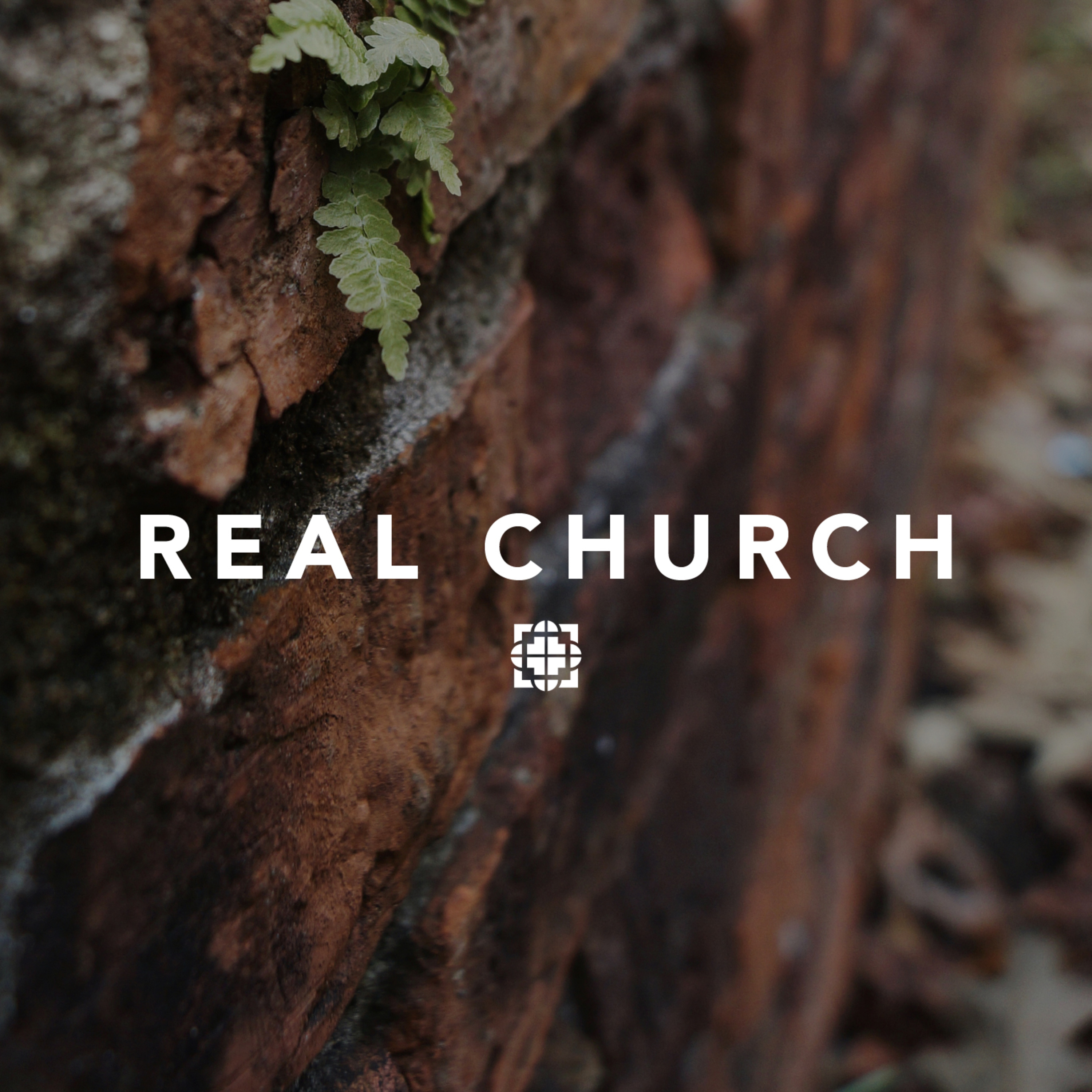 Trinity Grace Church Archives
