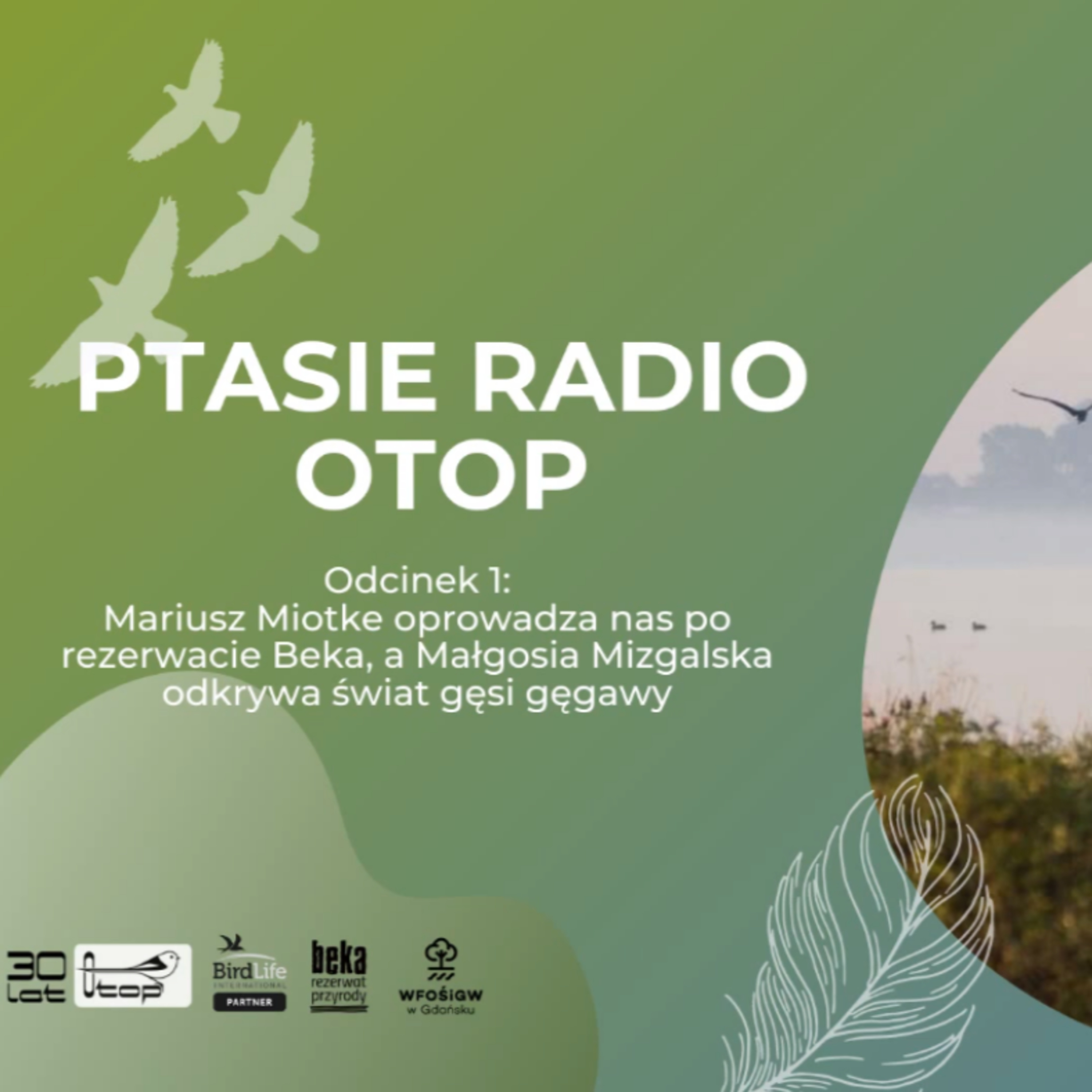 Ptasie Radio OTOP | odc. 1 | Mariusz Miotke i Małgosia Mizgalska - o Bece i o gęsi gęgawie episode artwork