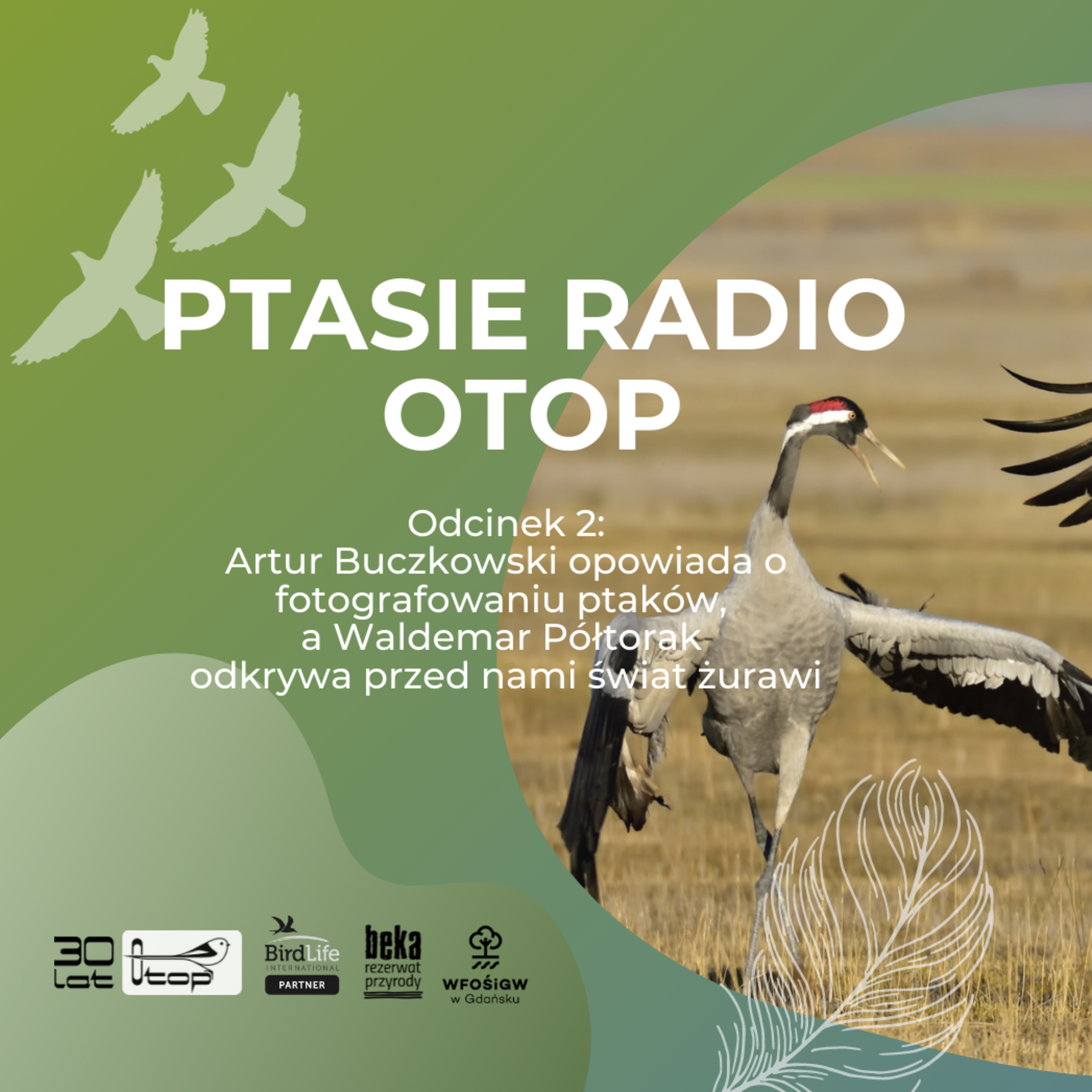Ptasie Radio OTOP | odc.2 | Artur Buczkowski i Waldemar Półtorak - o fotografowaniu ptaków i żurawiach w rezerwacie Beka episode artwork
