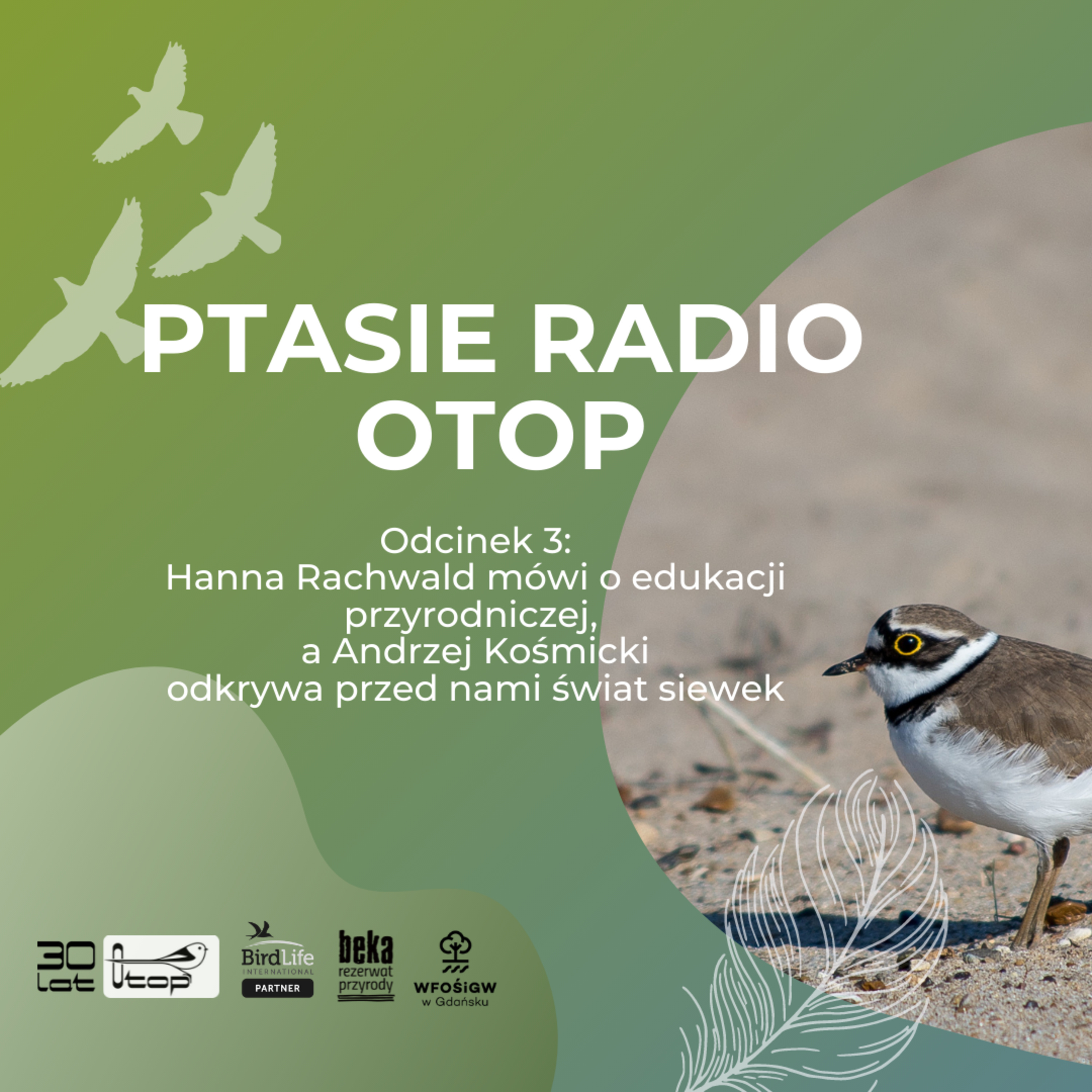 Ptasie Radio OTOP | odc. 3 | Hanna Rachwald i Andrzej Kośmicki o edukacji przyrodniczej i o siewkach. episode artwork