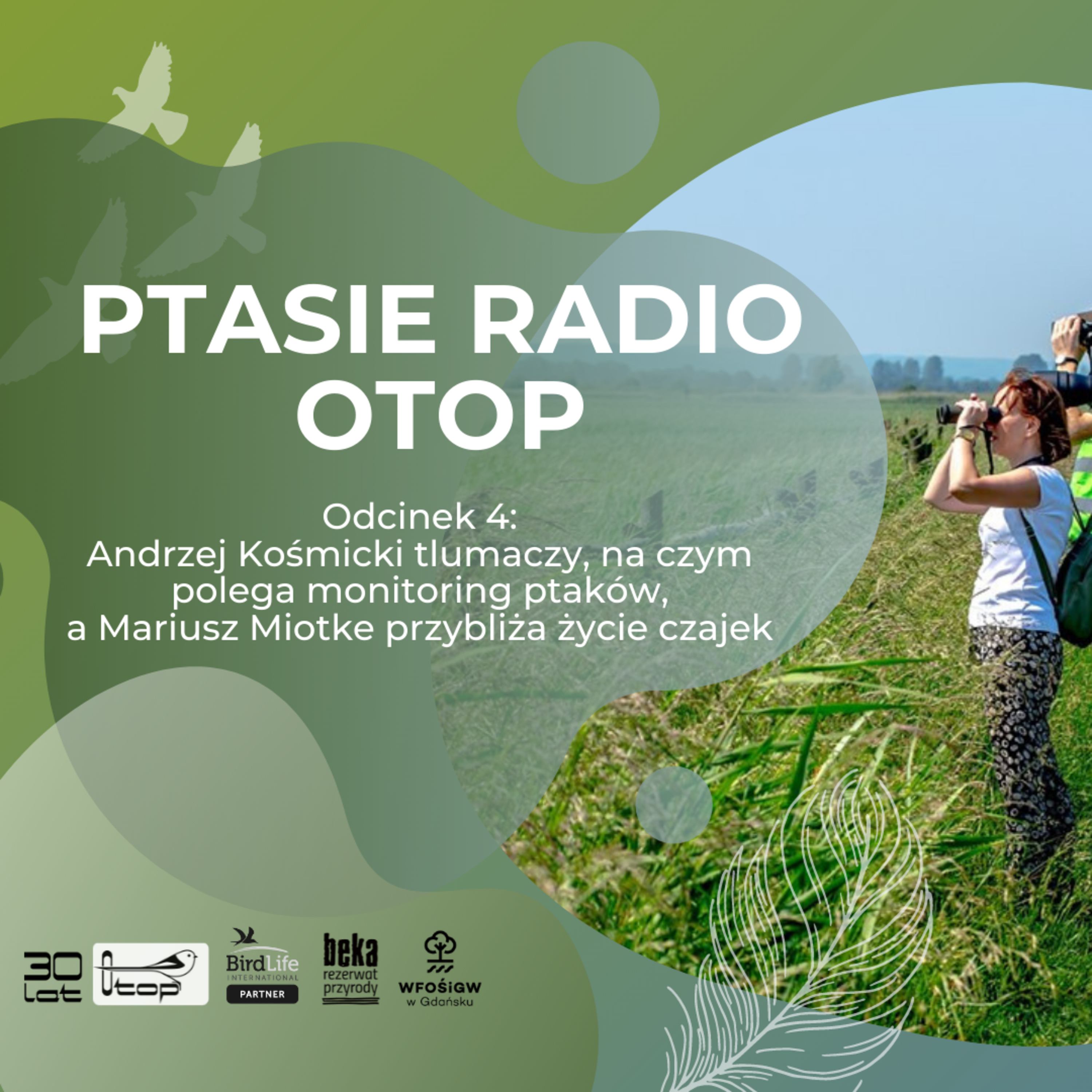 Ptasie Radio OTOP | odc. 4 | Andrzej Kośmicki i Mariusz Miotke o monitoringu ptaków i o czajce episode artwork