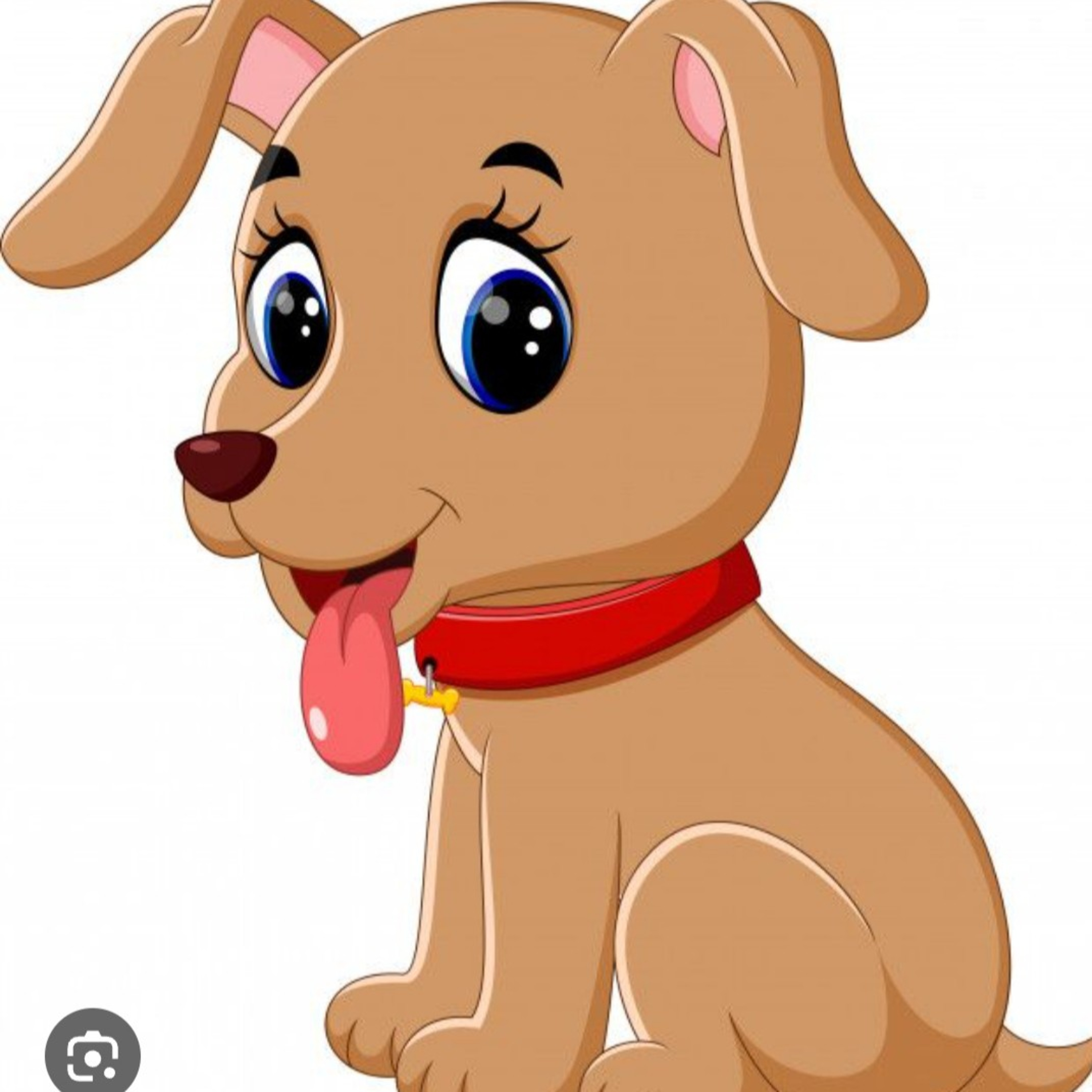Animales que nos ayudan  episode artwork