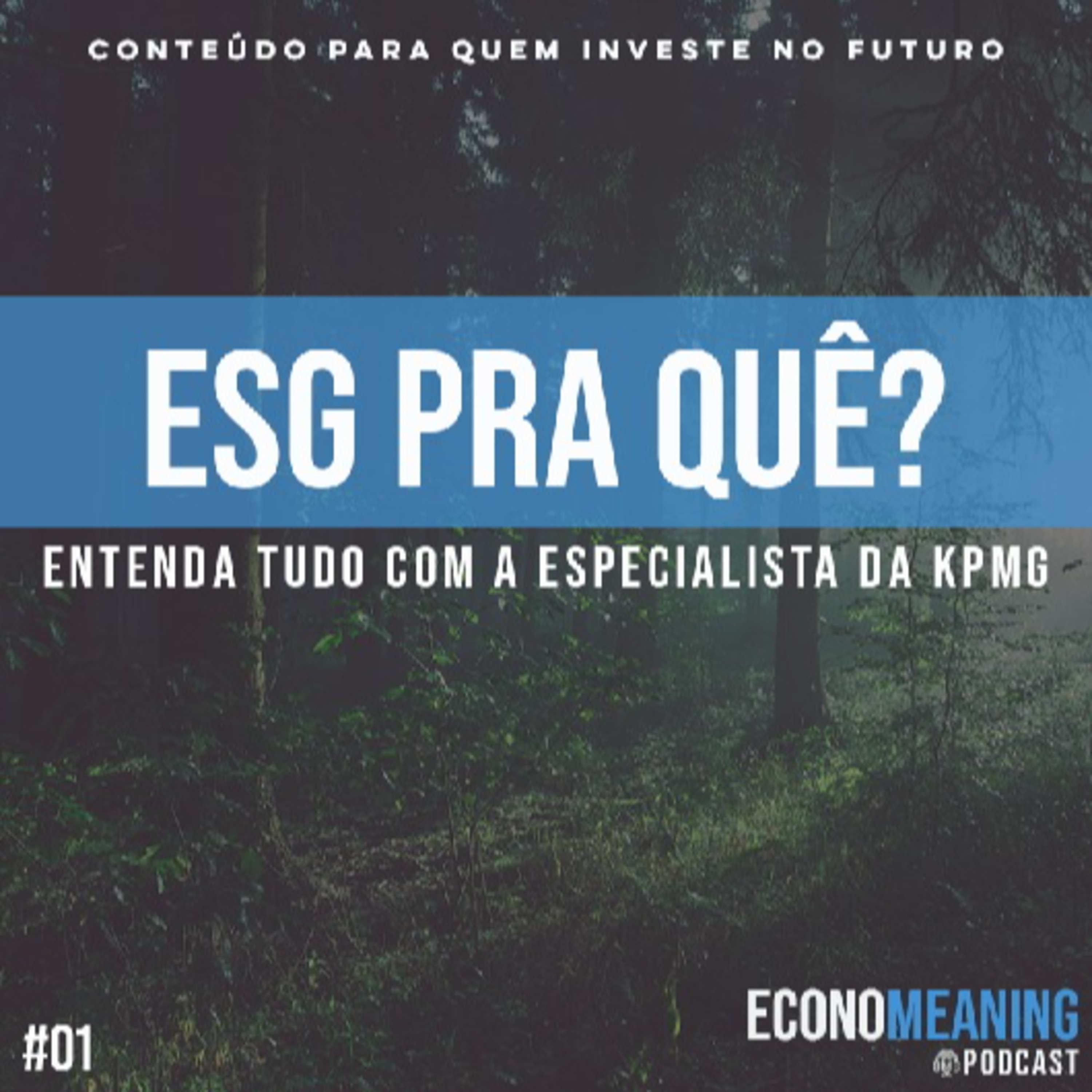 Economeaning Podcast