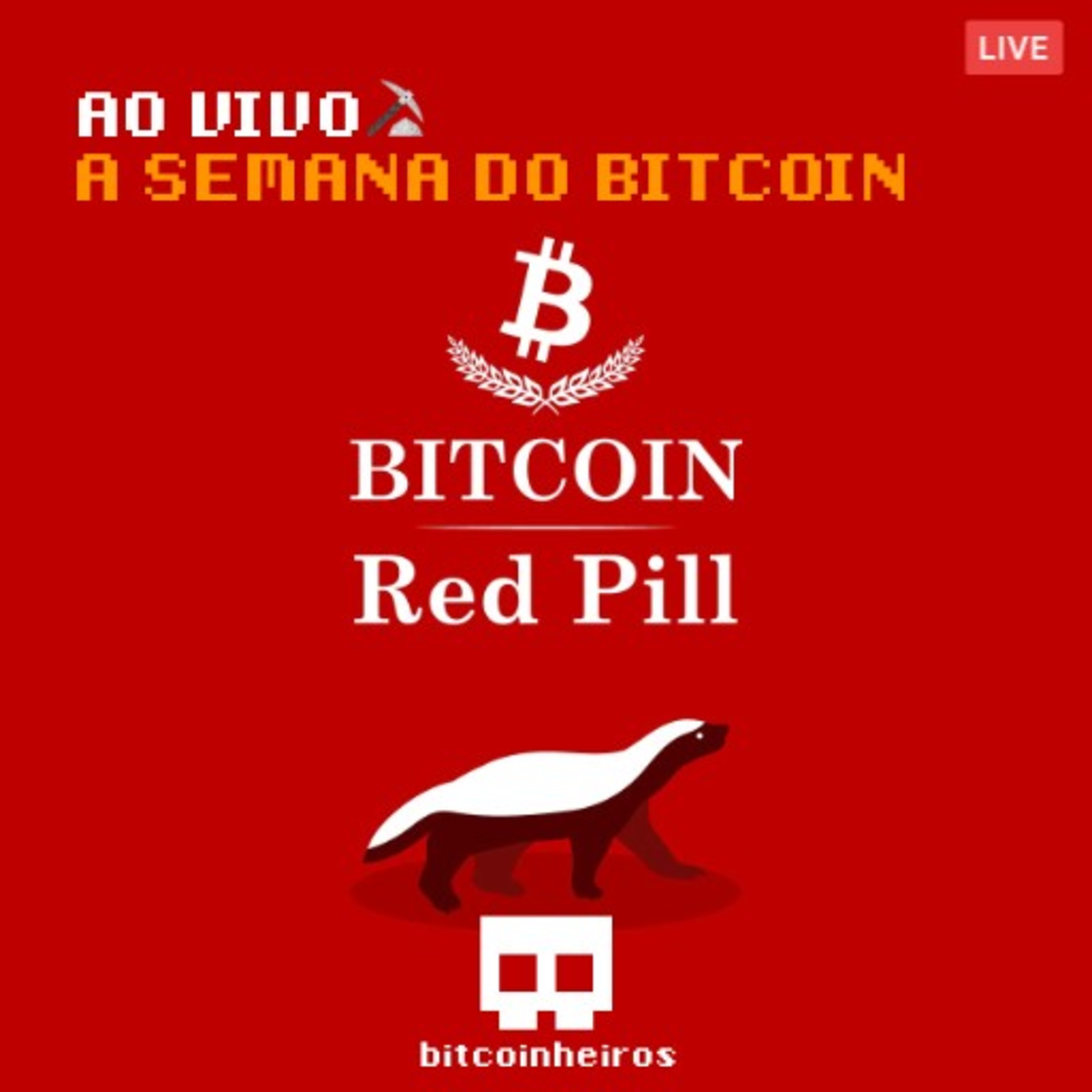 Live: O melhor da semana - Convidados Renato Trezoitão e Alan Schramm