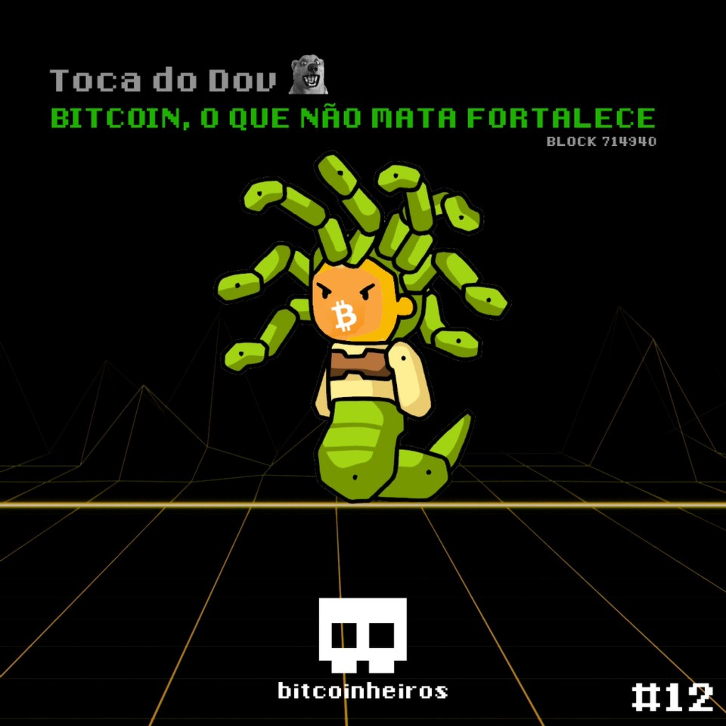 Por que o que não mata o Bitcoin, o fortalece? - Parte 12 - Série "Why Bitcoin?"
