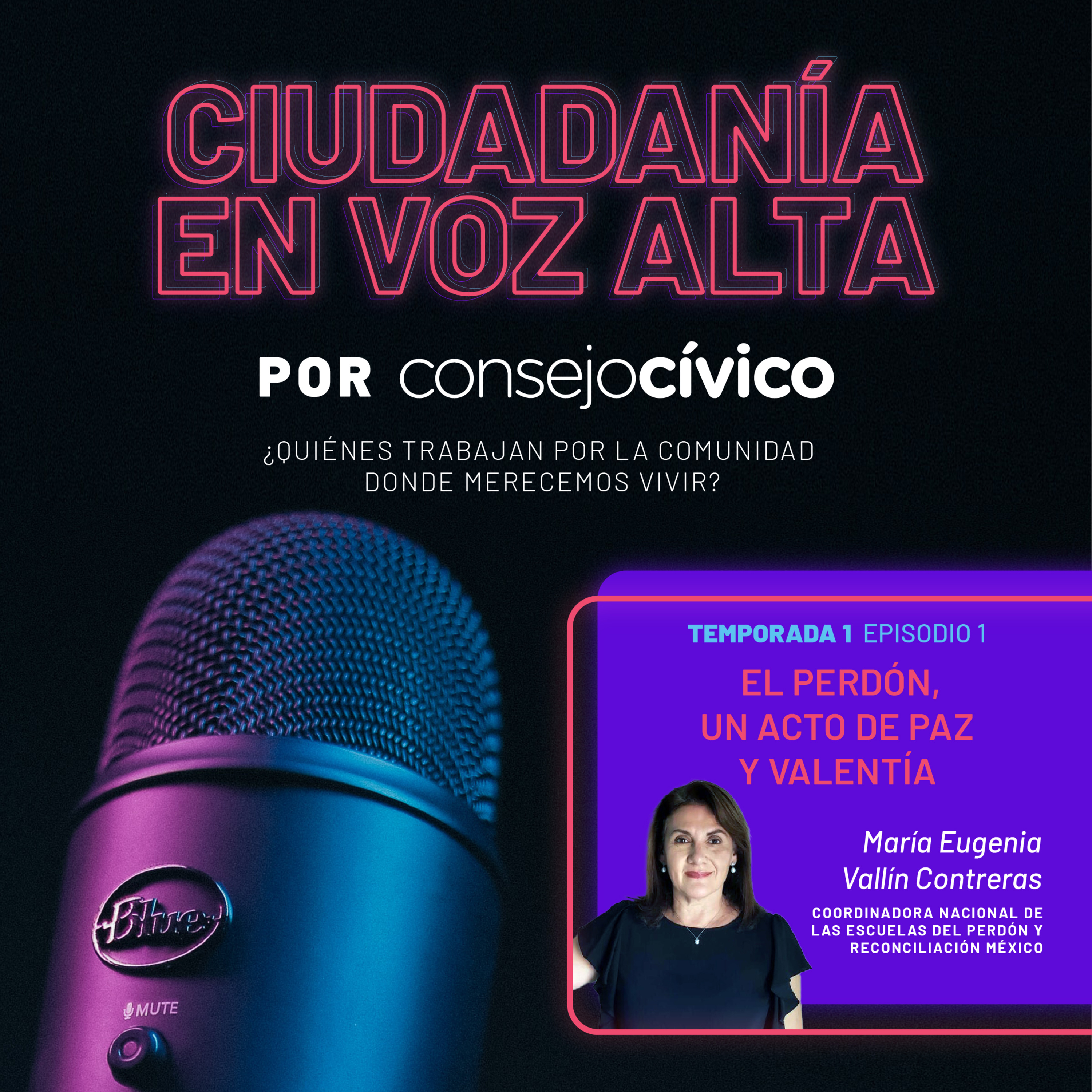 Ciudadanía en voz alta