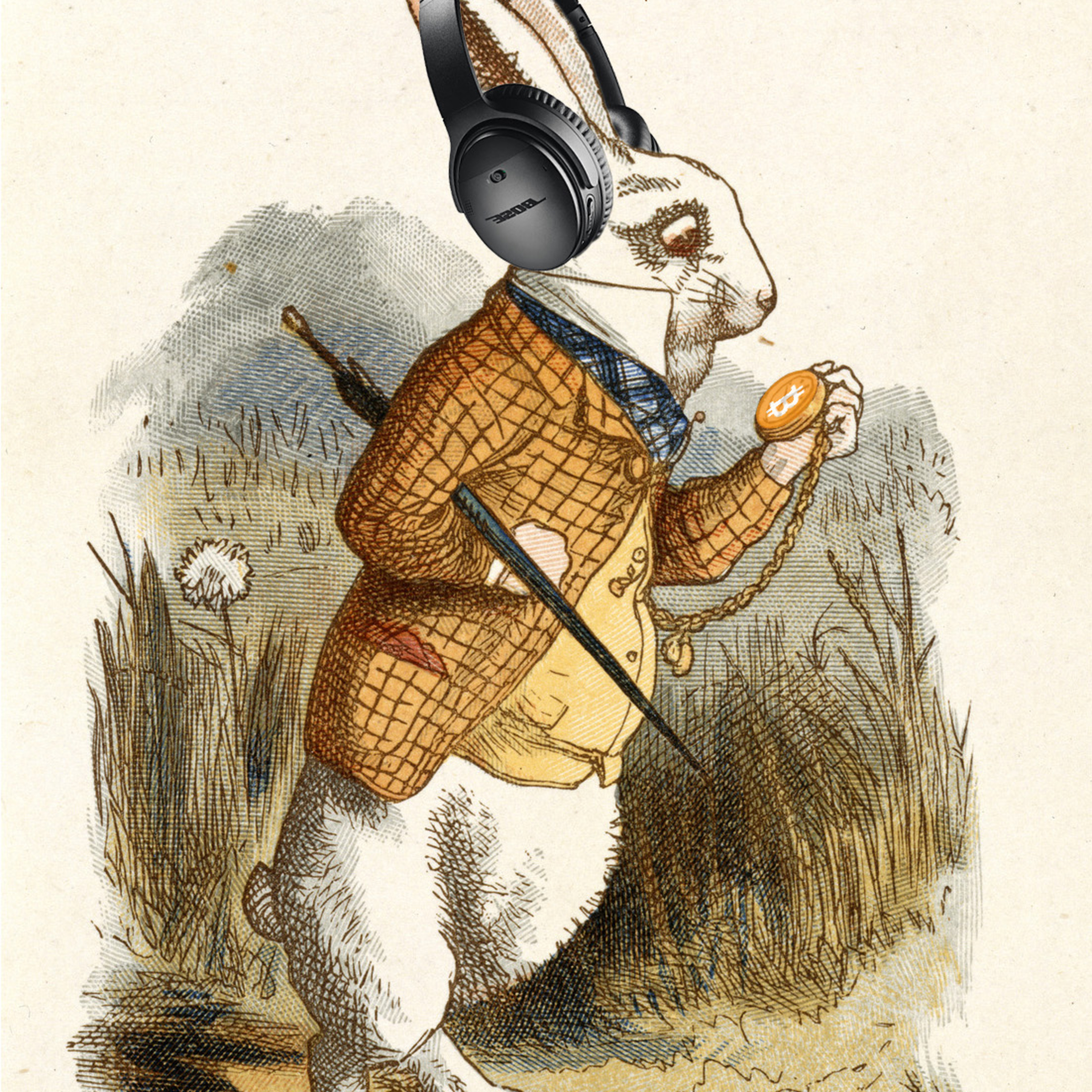 BitcoinMeister- Bitcoin, Cryptocurrency, Altcoins