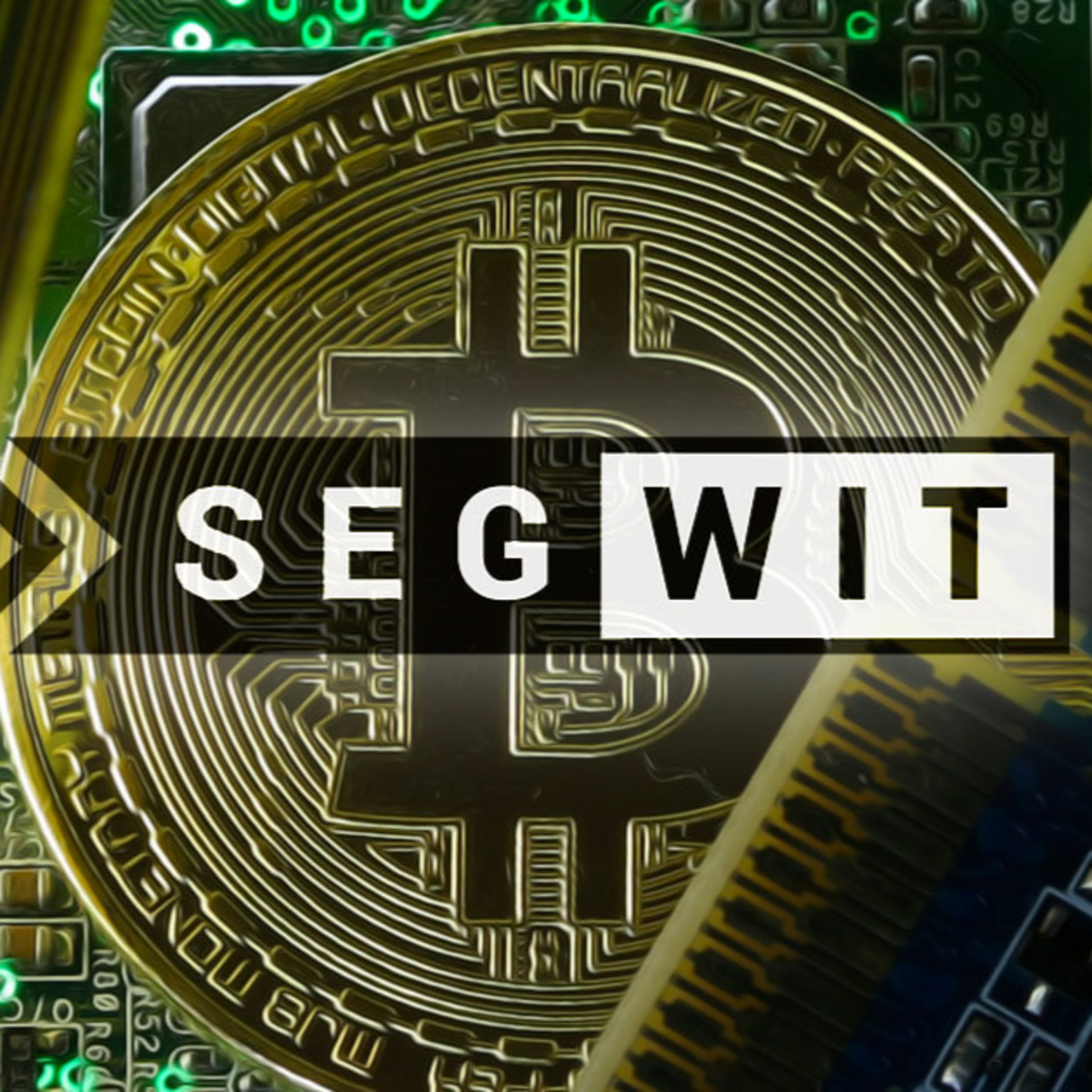 The 1 Bitcoin Show- BTC blocks are bigger & Segwit usage is up, 150 days until 2020 halving, views in Asia, savings episode artwork
