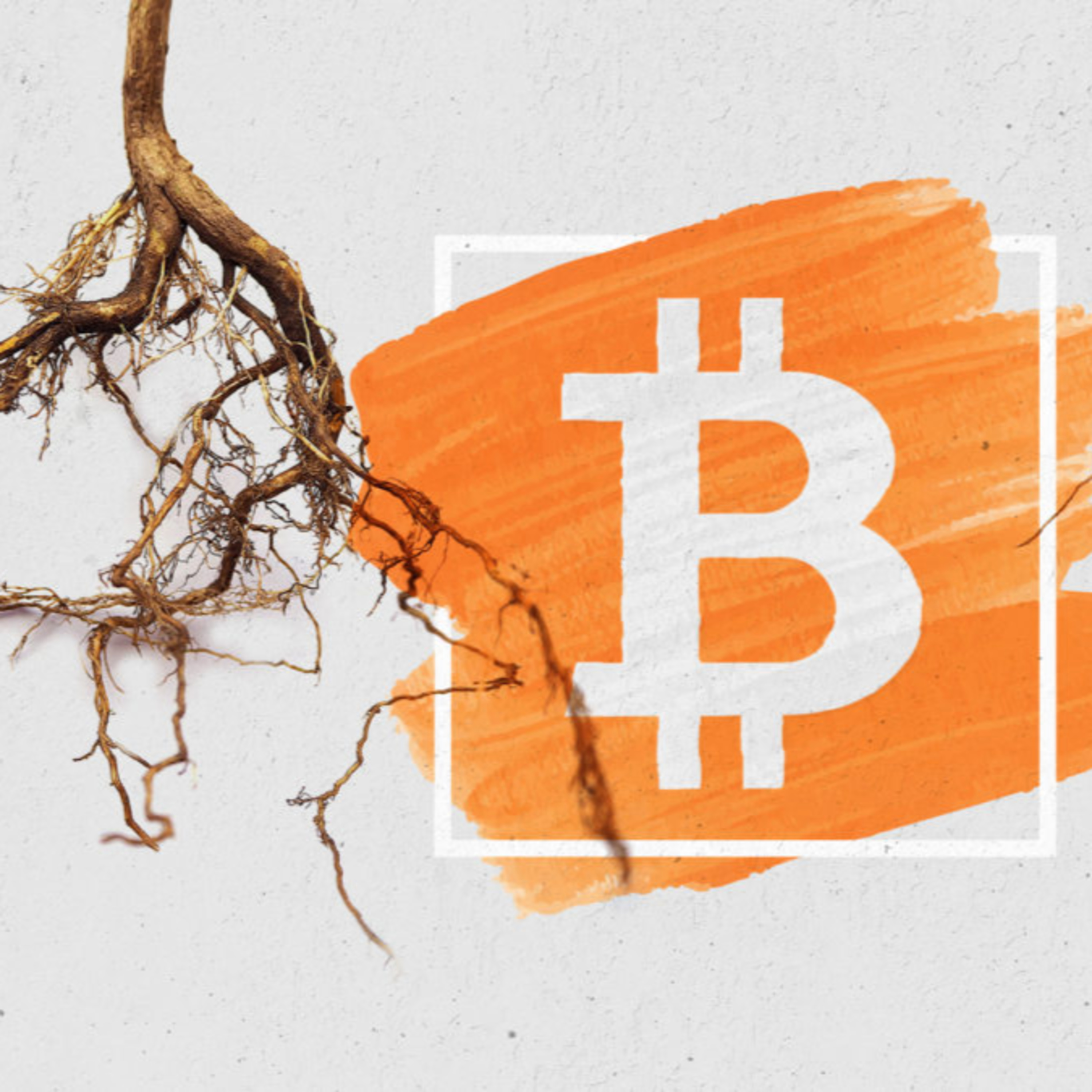 The 1 Bitcoin Show- Custodial BTC increase, Proof of reserves, Gold issue in Venezuela? Taproot, NY Venmo, Ripple, DeFi episode artwork