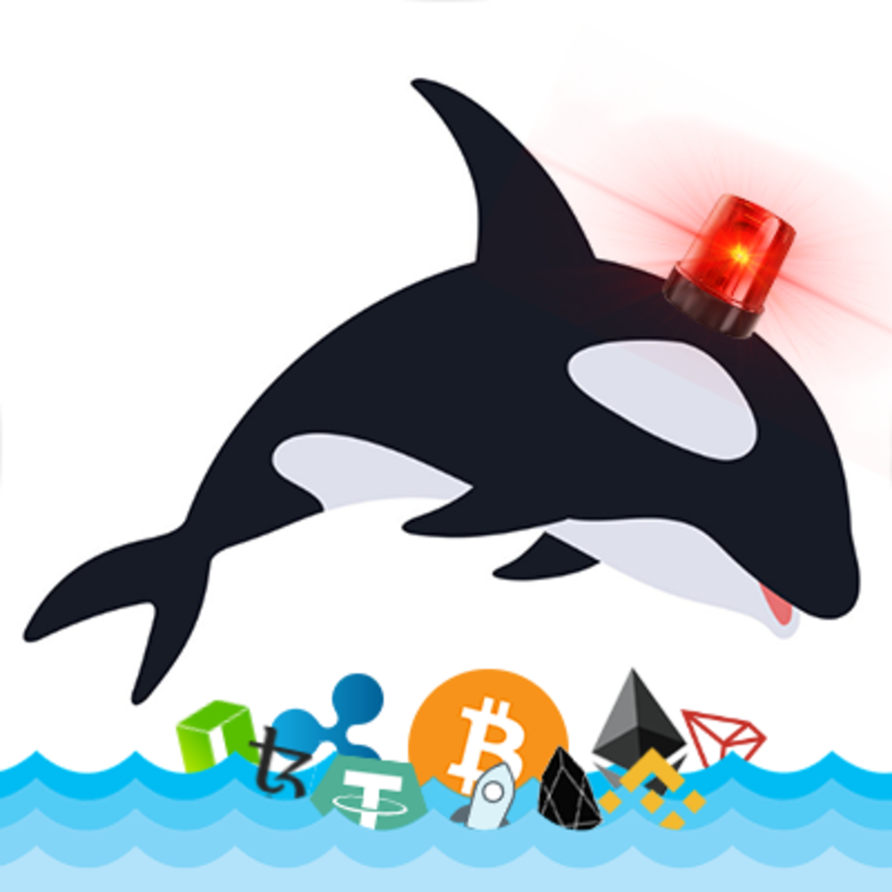 BitcoinMeister- Bitcoin, Cryptocurrency, Altcoins