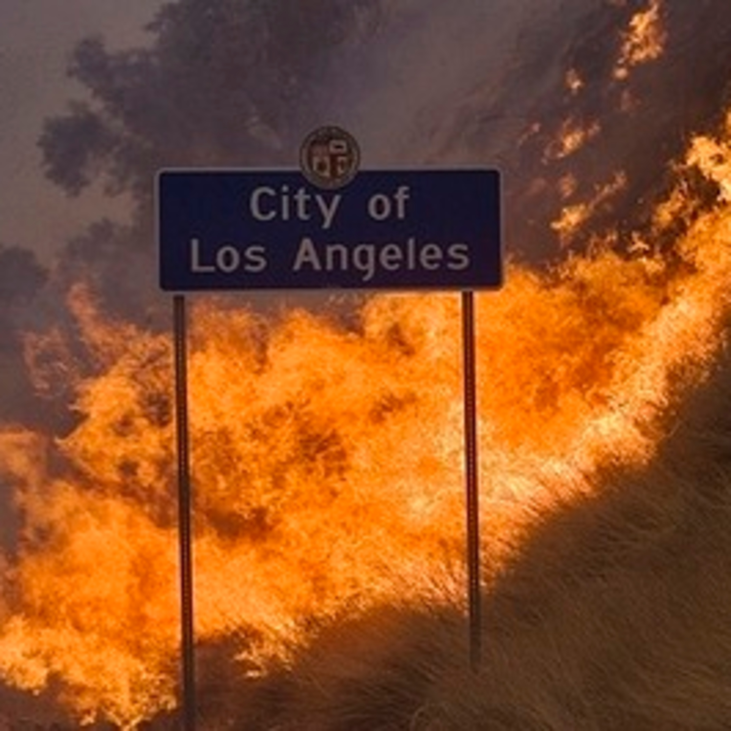 The Beyond Bitcoin Show- Episode 112- In the middle of the Los Angeles riot! 5 day fast! Coronavirus, SpaceX, expert? episode artwork
