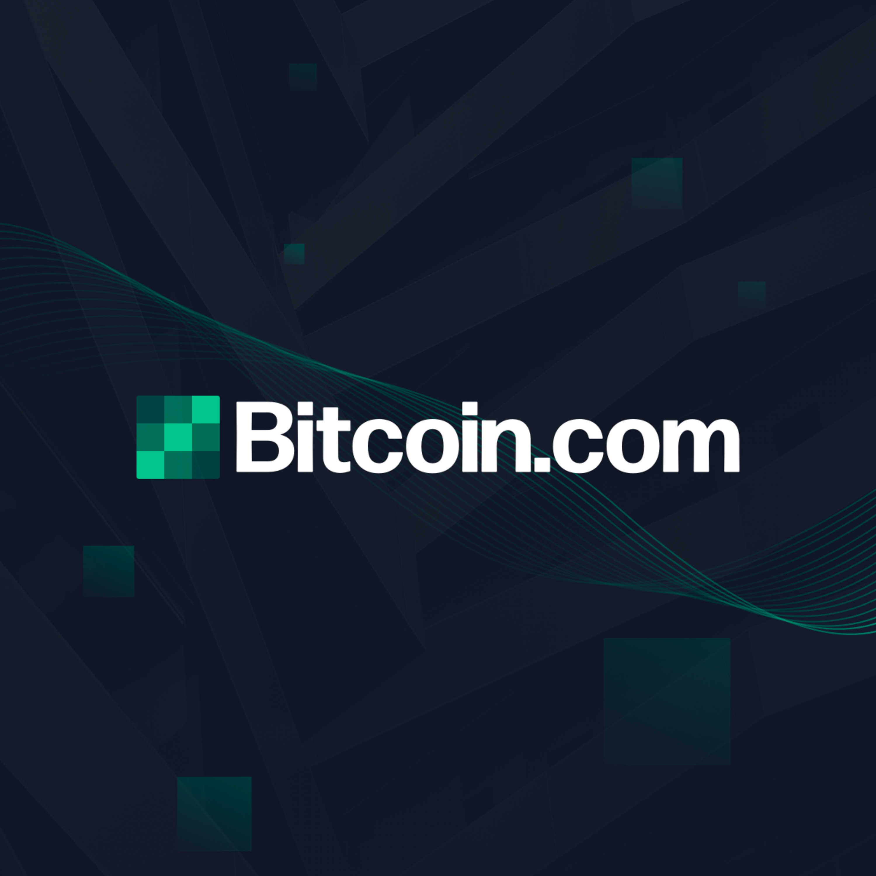 The 1 Bitcoin Show- 12 BTC stolen? I am against the Bitcoin.com channel ban, BTC trust revolution? No-KYC guide, Q&A episode artwork