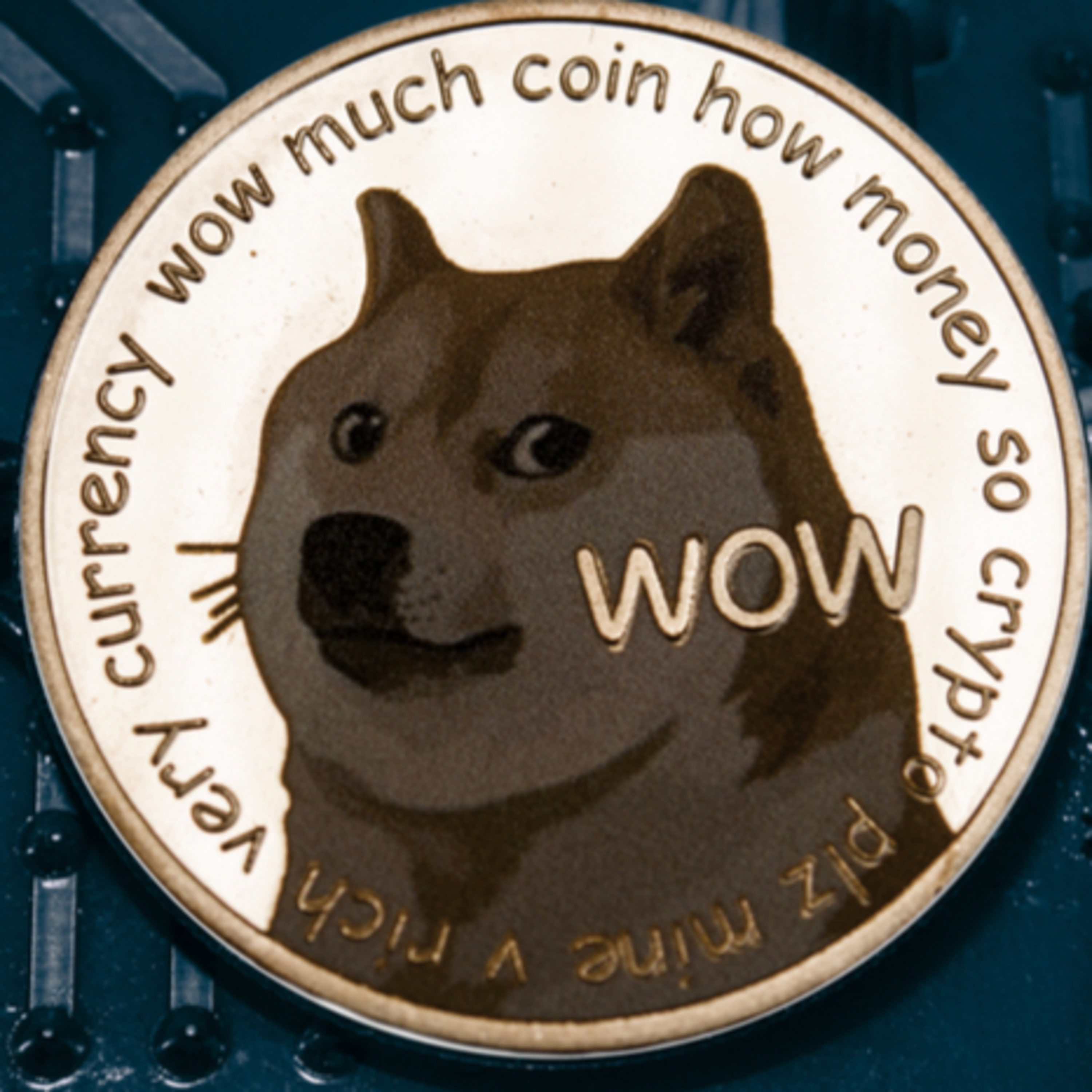 The 1 Bitcoin Show- Dogecoin TikTok challenge pump, Coindesk's top tier altcoins, Wikileaks lightning, Cryptodollars, PPP episode artwork