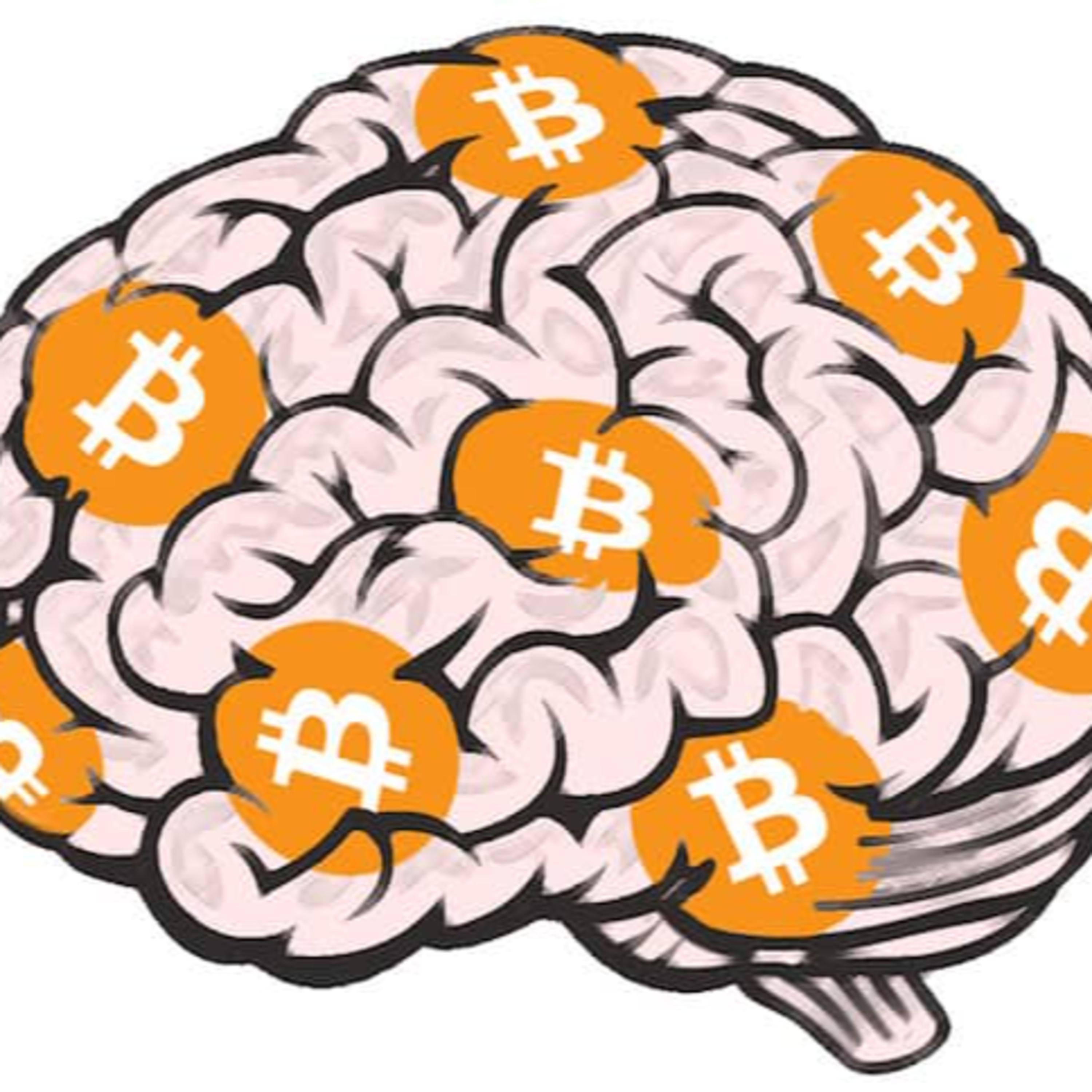 The 1 Bitcoin Show- BTC conviction, Huge Coinbase, Stone Ridge, Turkey, No BrainWallet, Gamblers welcome, Litecoin episode artwork