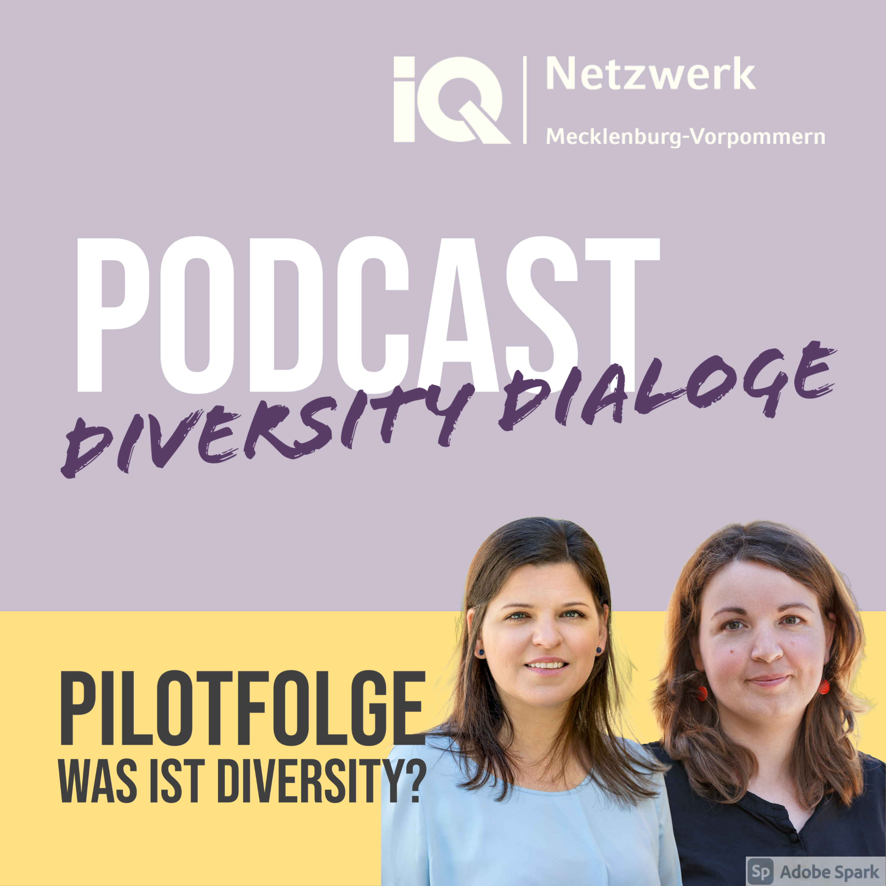 Diversity Dialoge