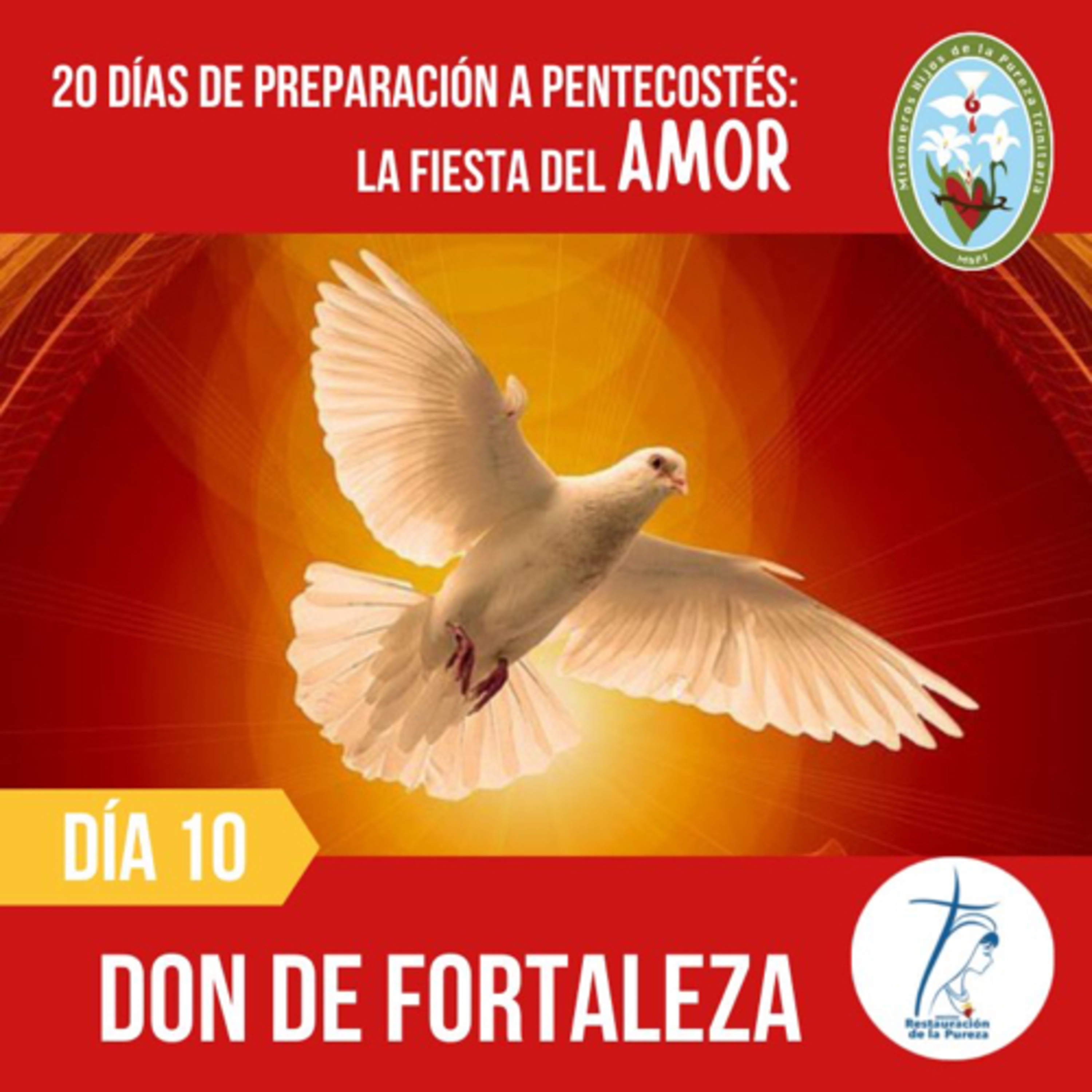 20 días a Pentecostés: fiesta del amor