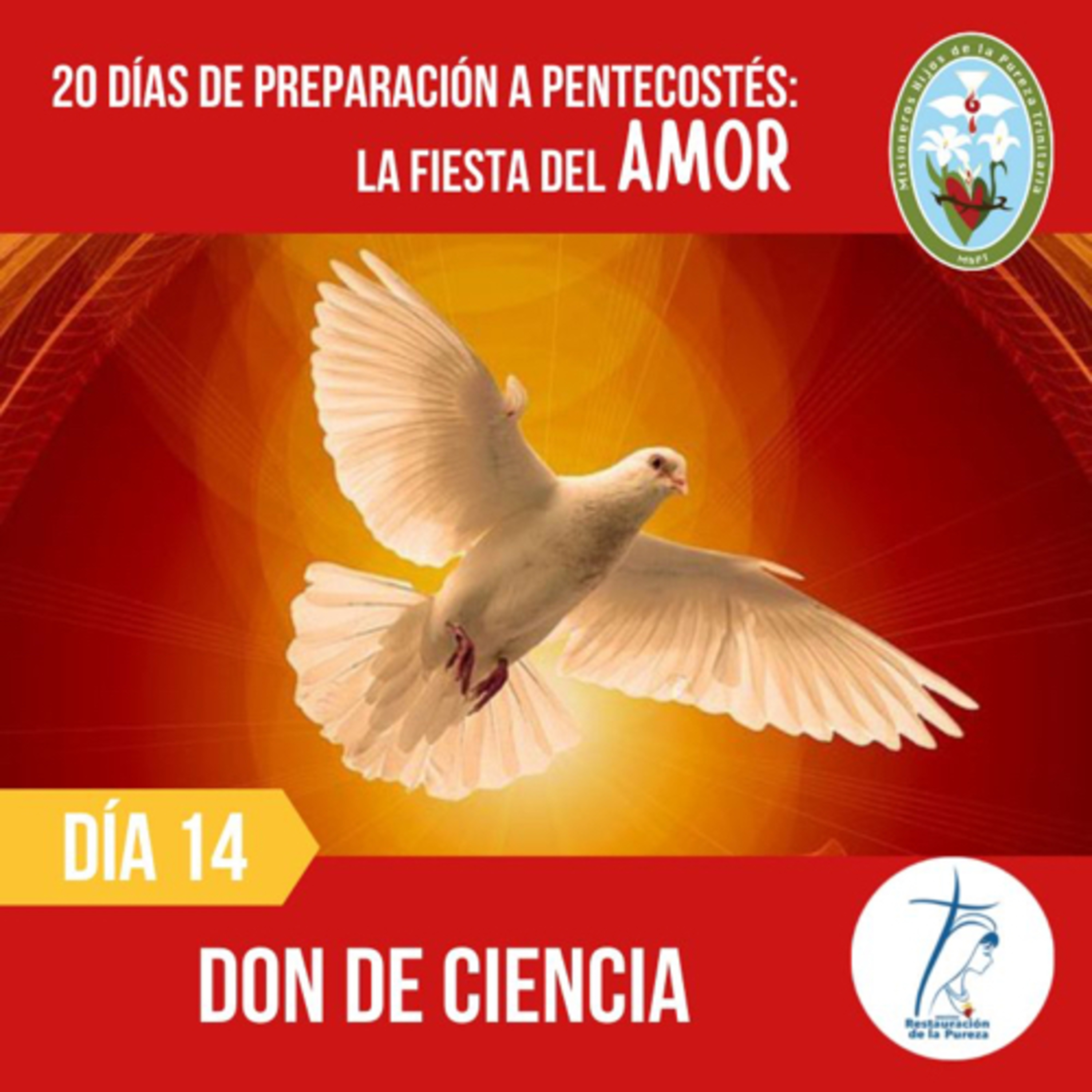 20 días a Pentecostés: fiesta del amor