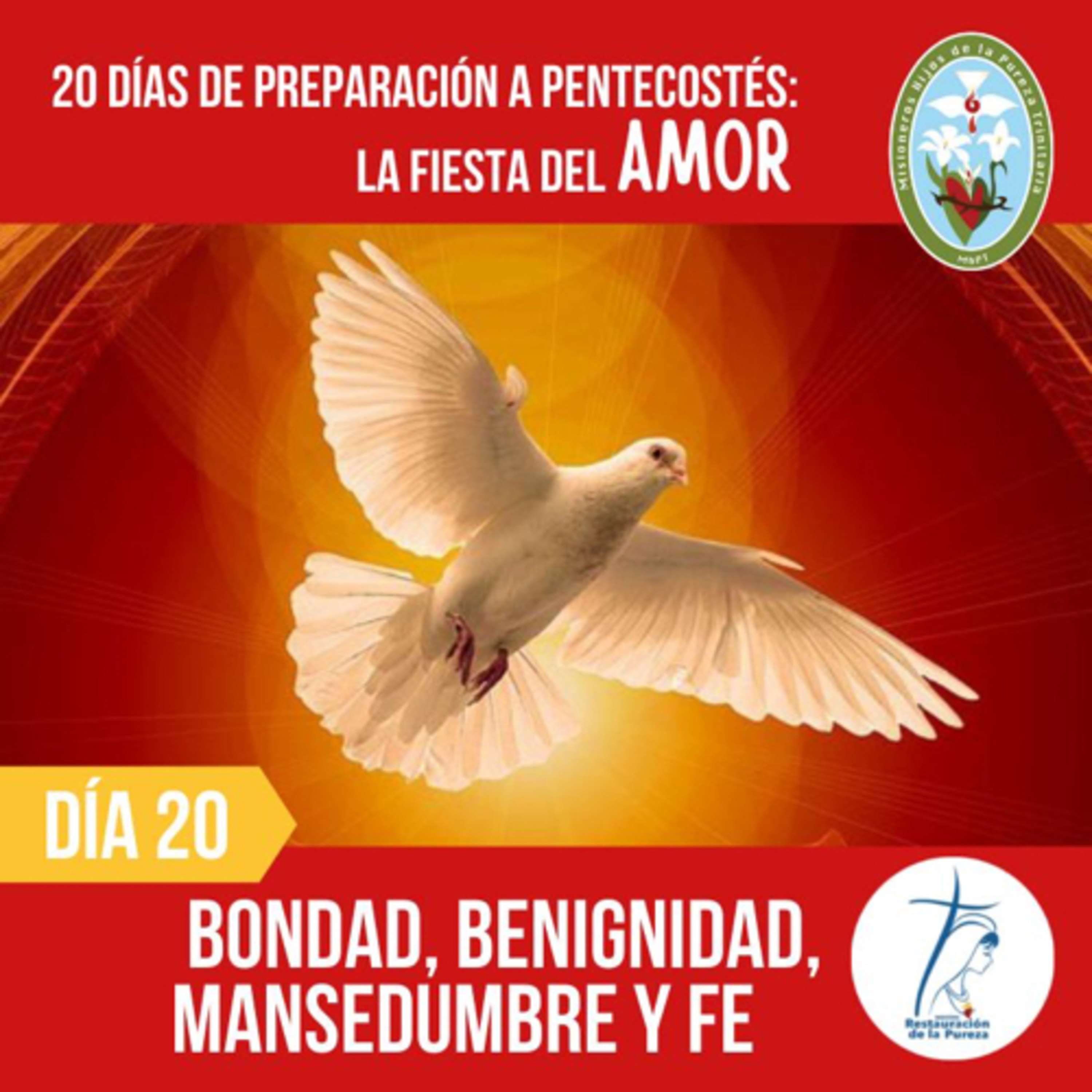 20 días a Pentecostés: fiesta del amor